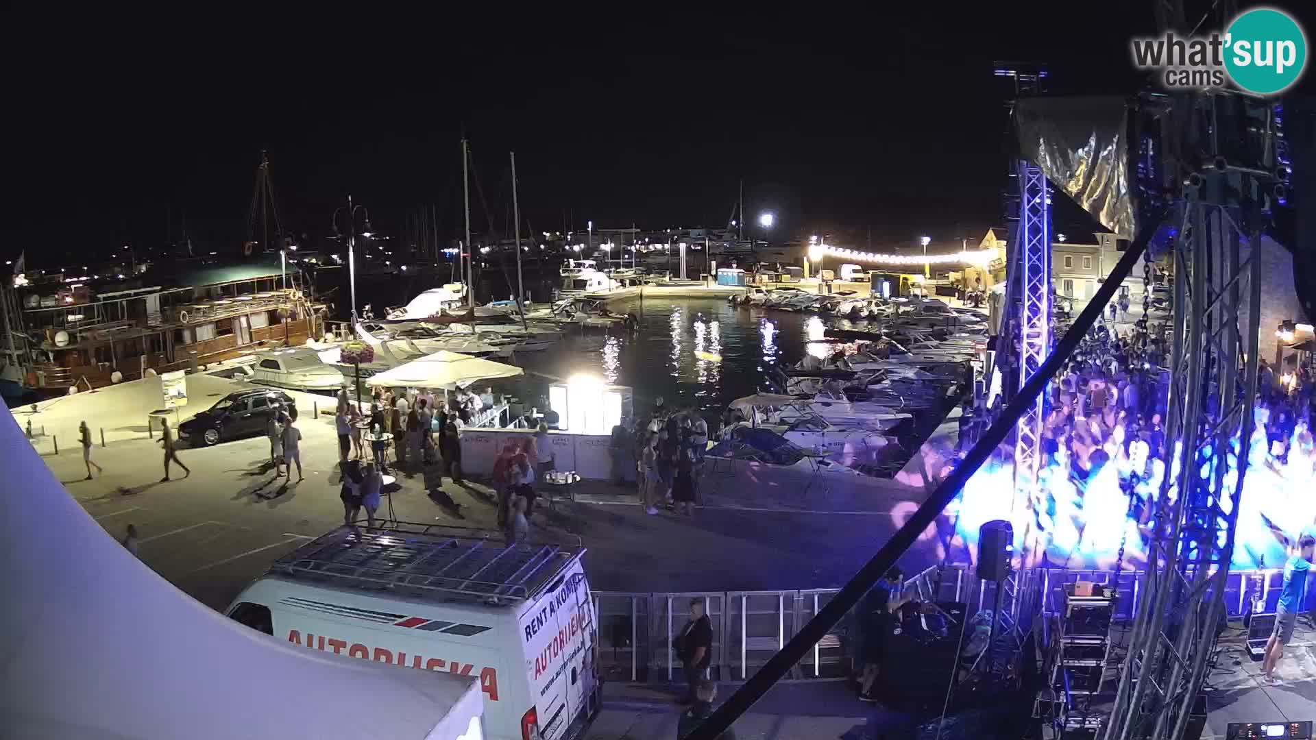 Novigrad | Porporela marina