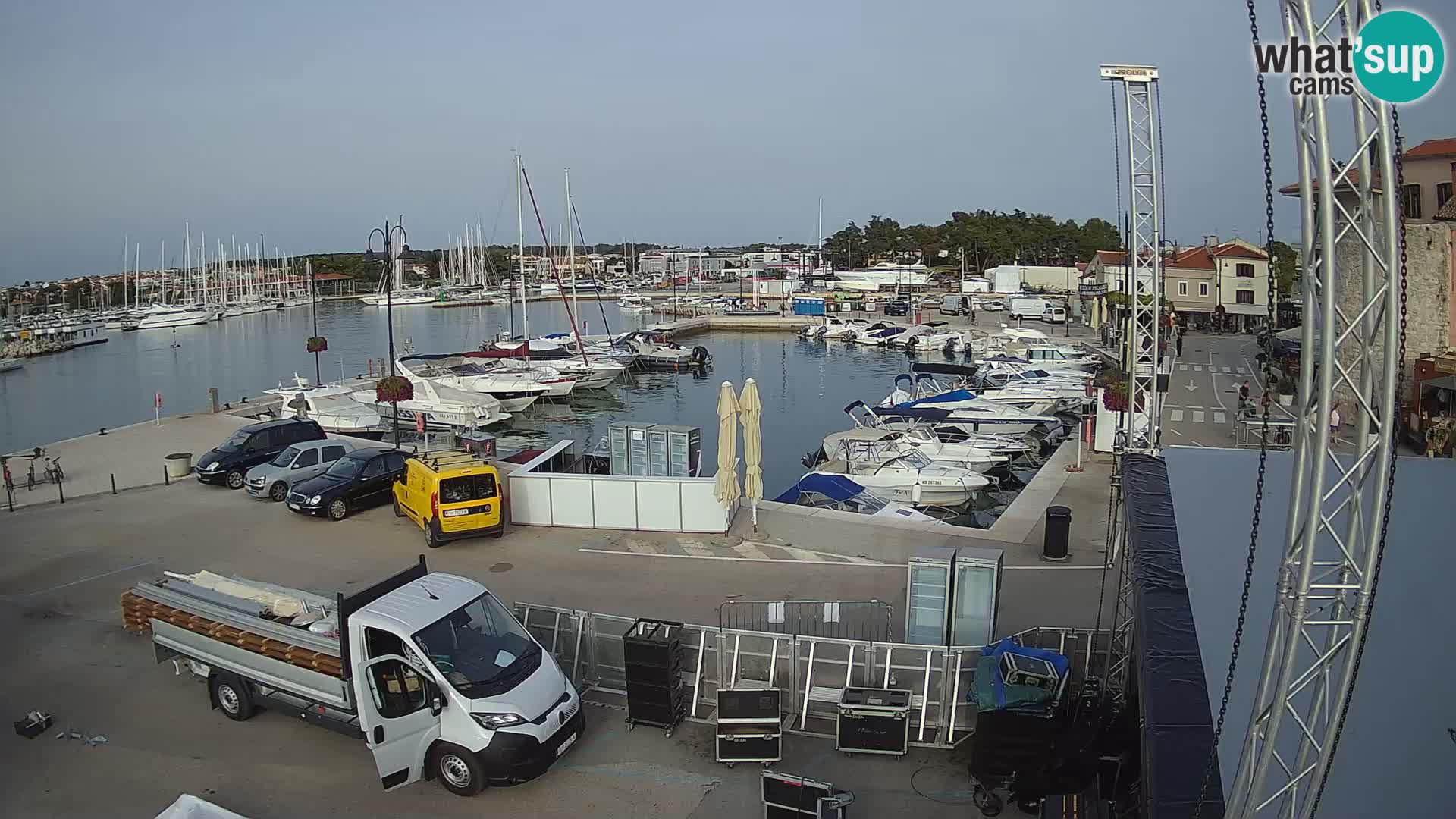Novigrad | Porporela marina