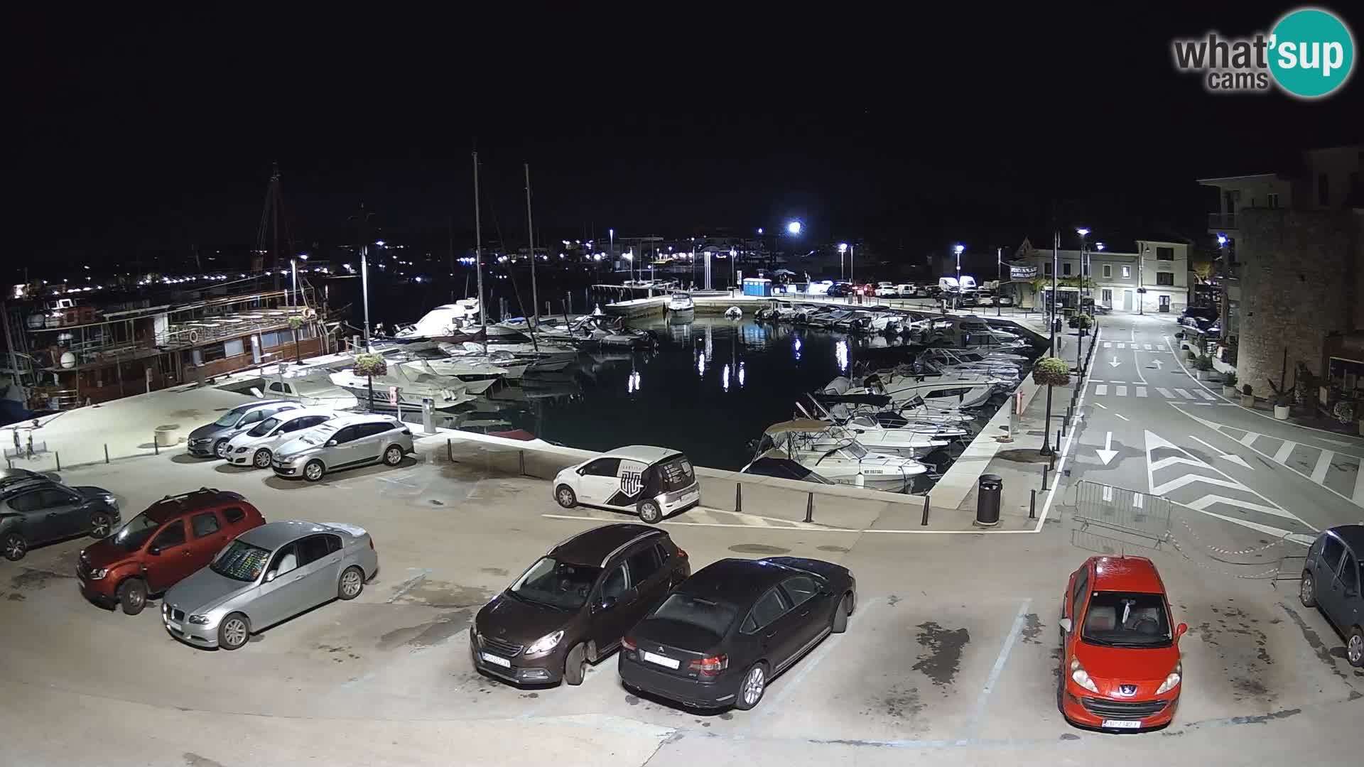 Novigrad | Porporela marina