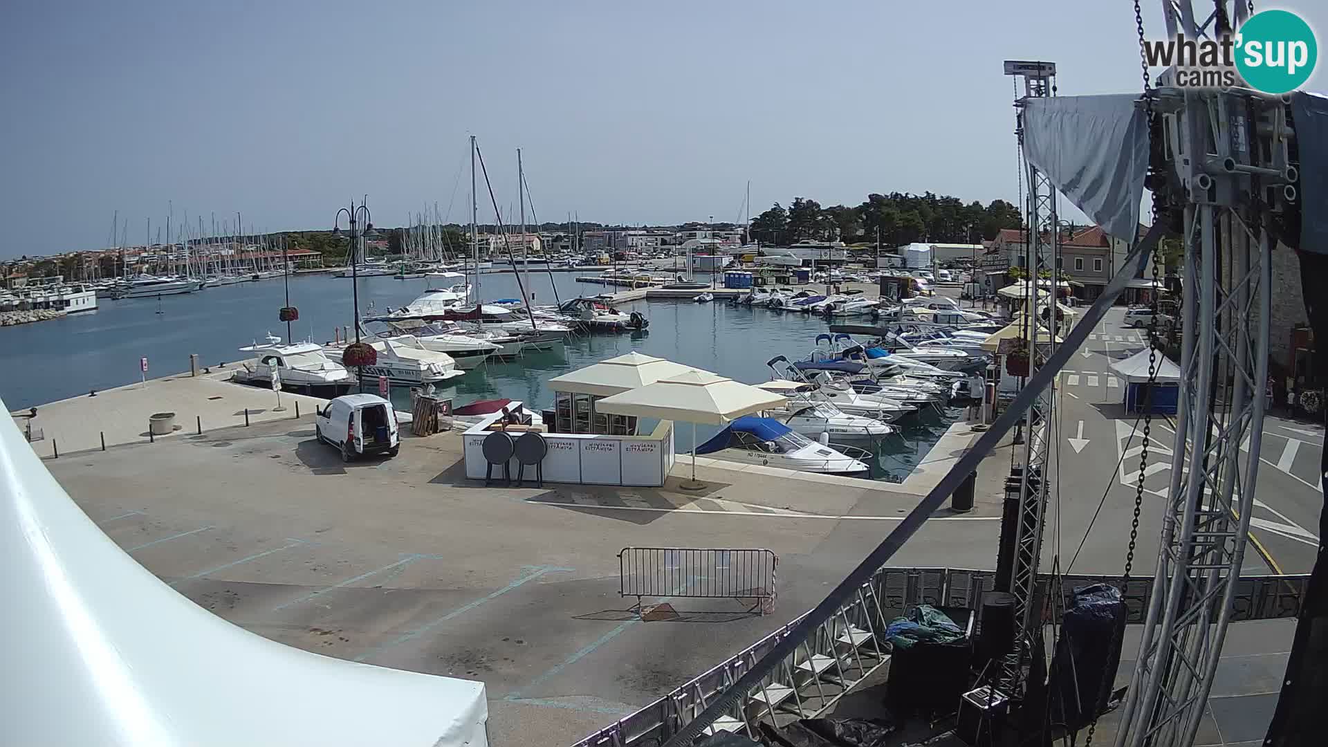 Novigrad | Porporela marina