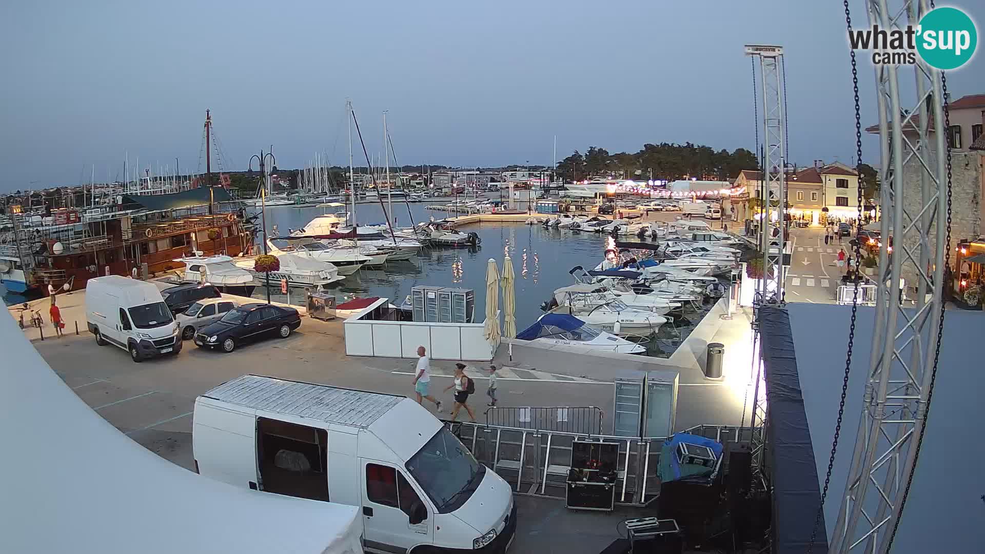 Novigrad | Porporela marina