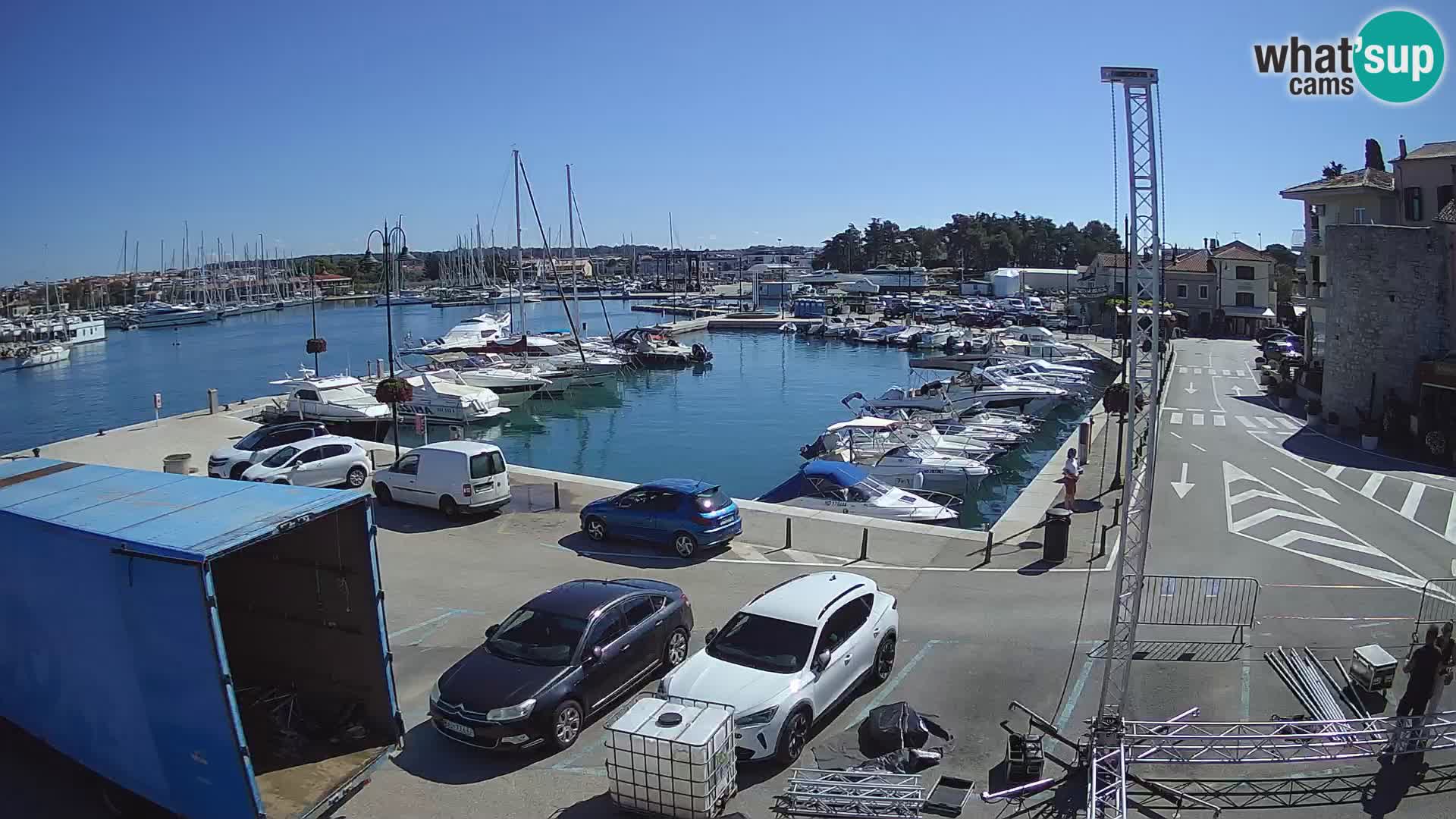 Novigrad | Porporela marina