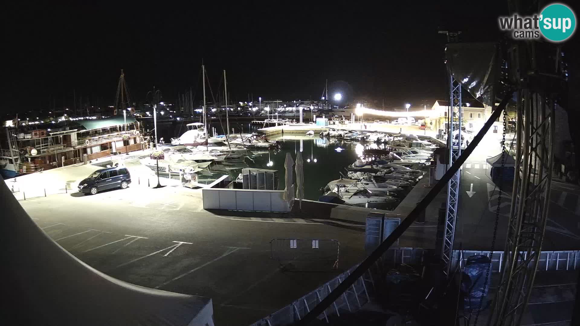 Novigrad | Porporela marina