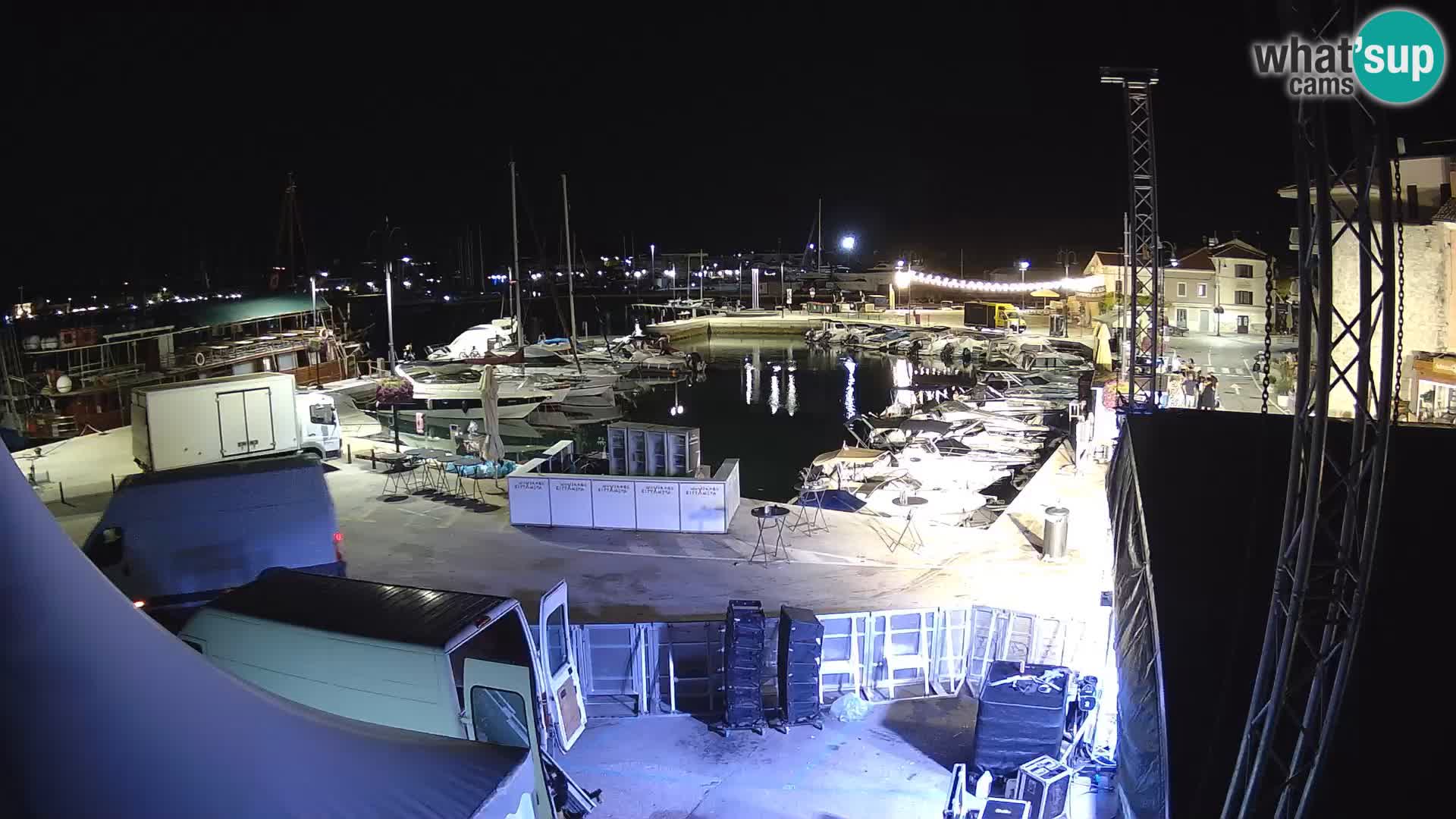 Novigrad | Porporela marina