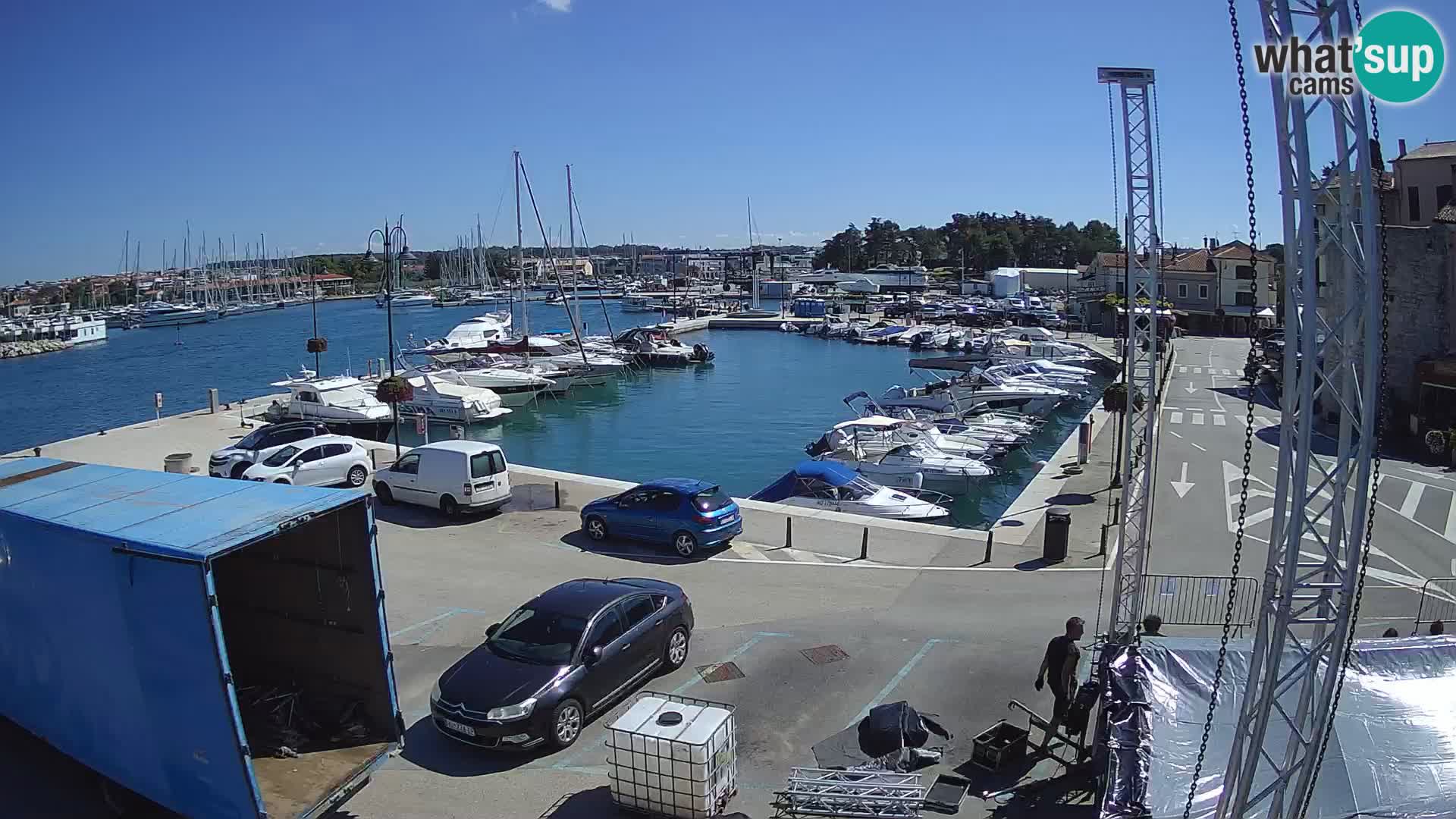 Novigrad | Porporela marina