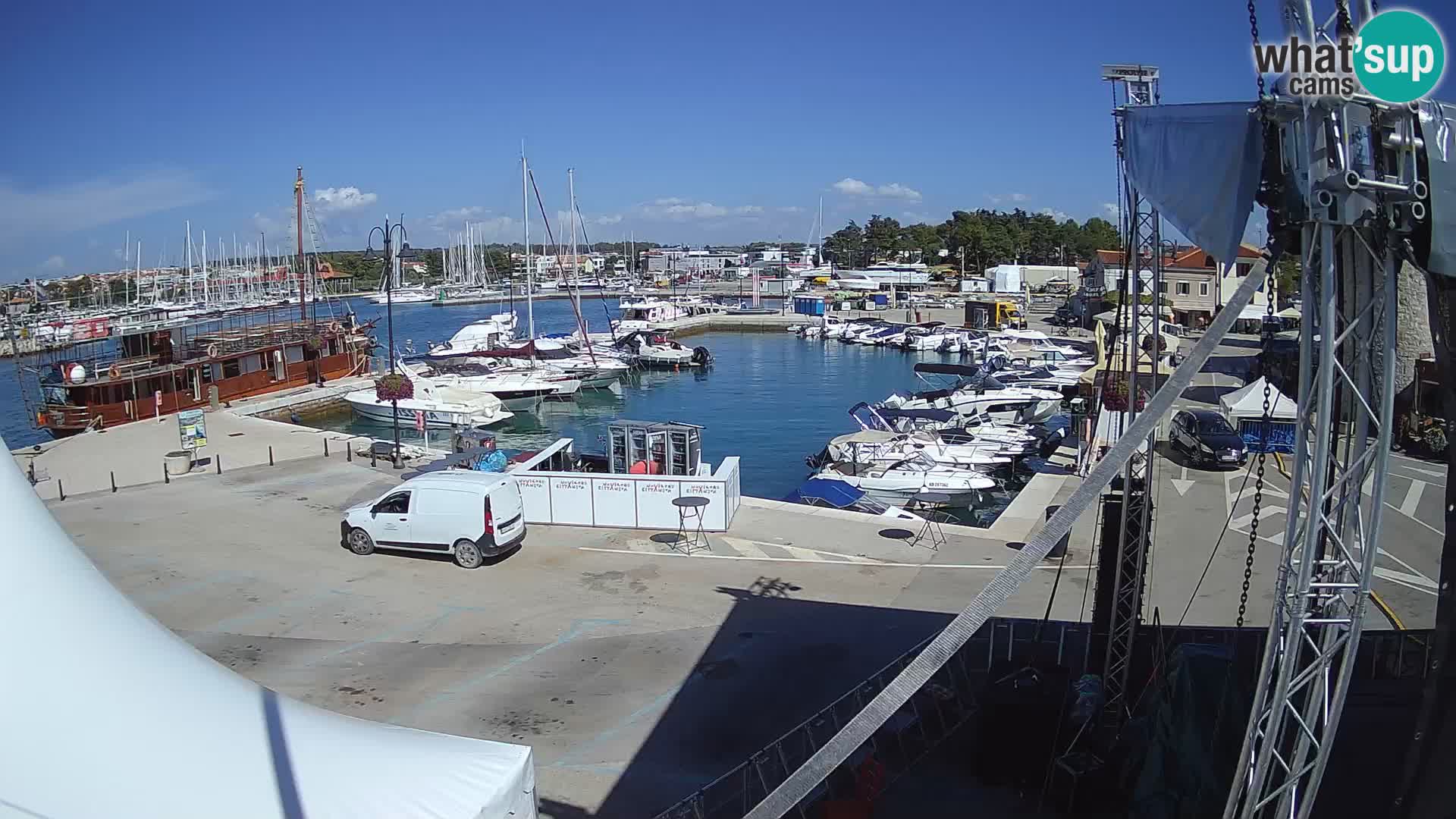 Novigrad | Porporela marina