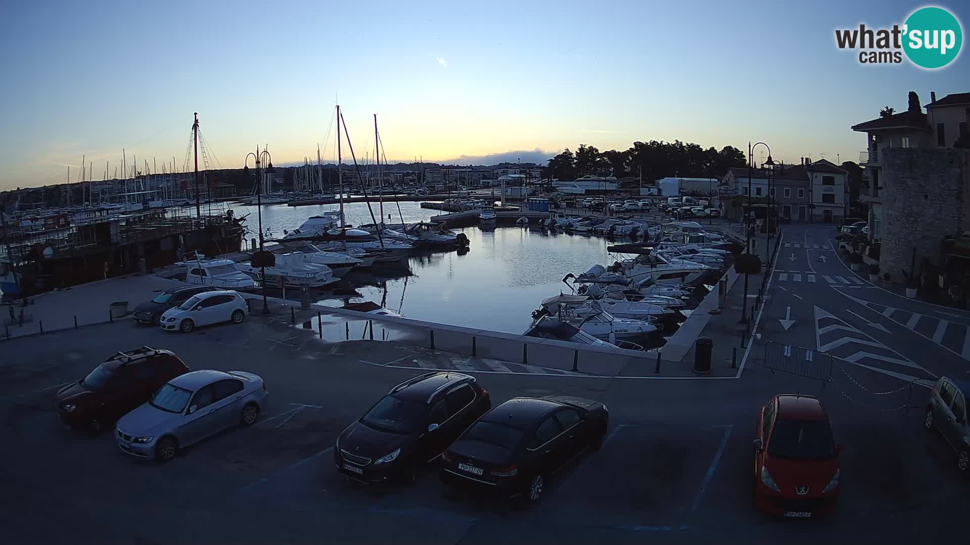 Novigrad | Porporela marina