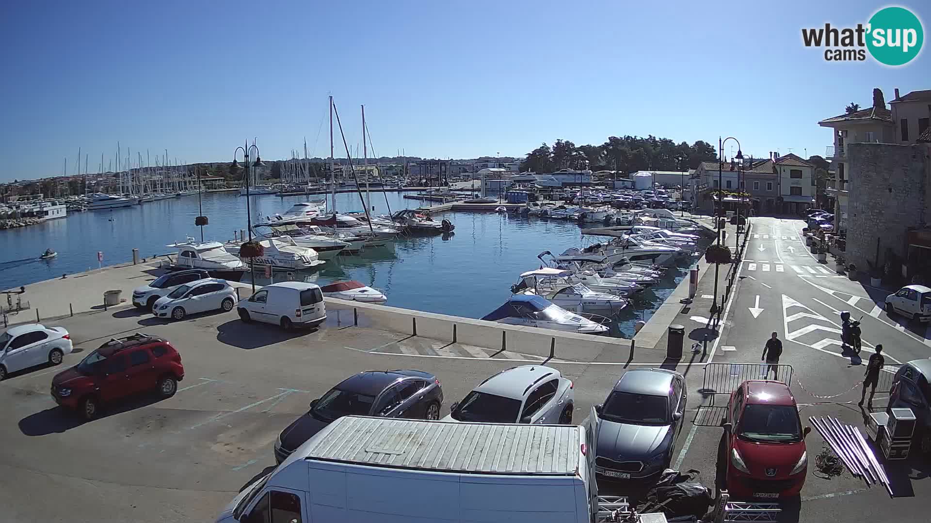 Novigrad | Porporela marina