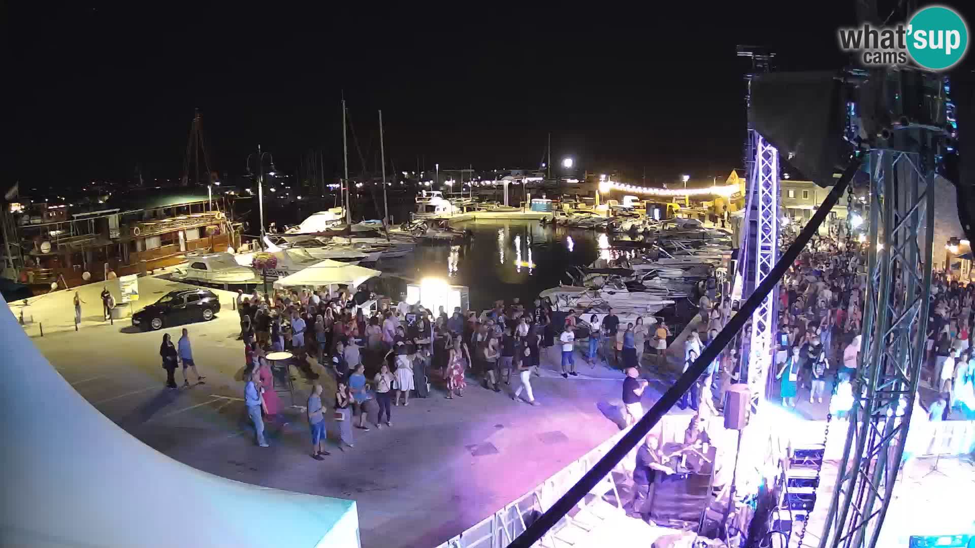 Novigrad | Porporela marina