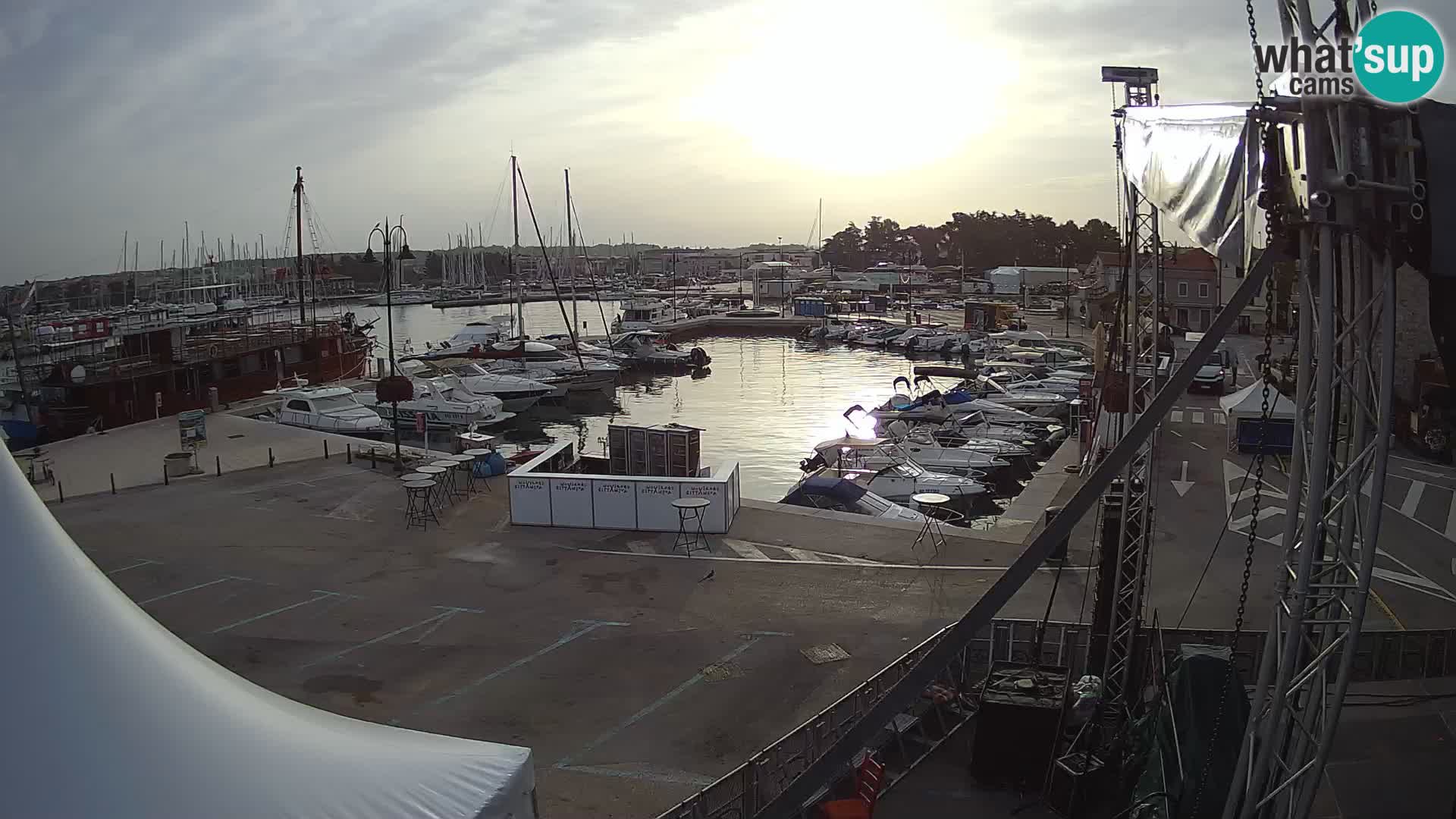 Novigrad | Porporela marina