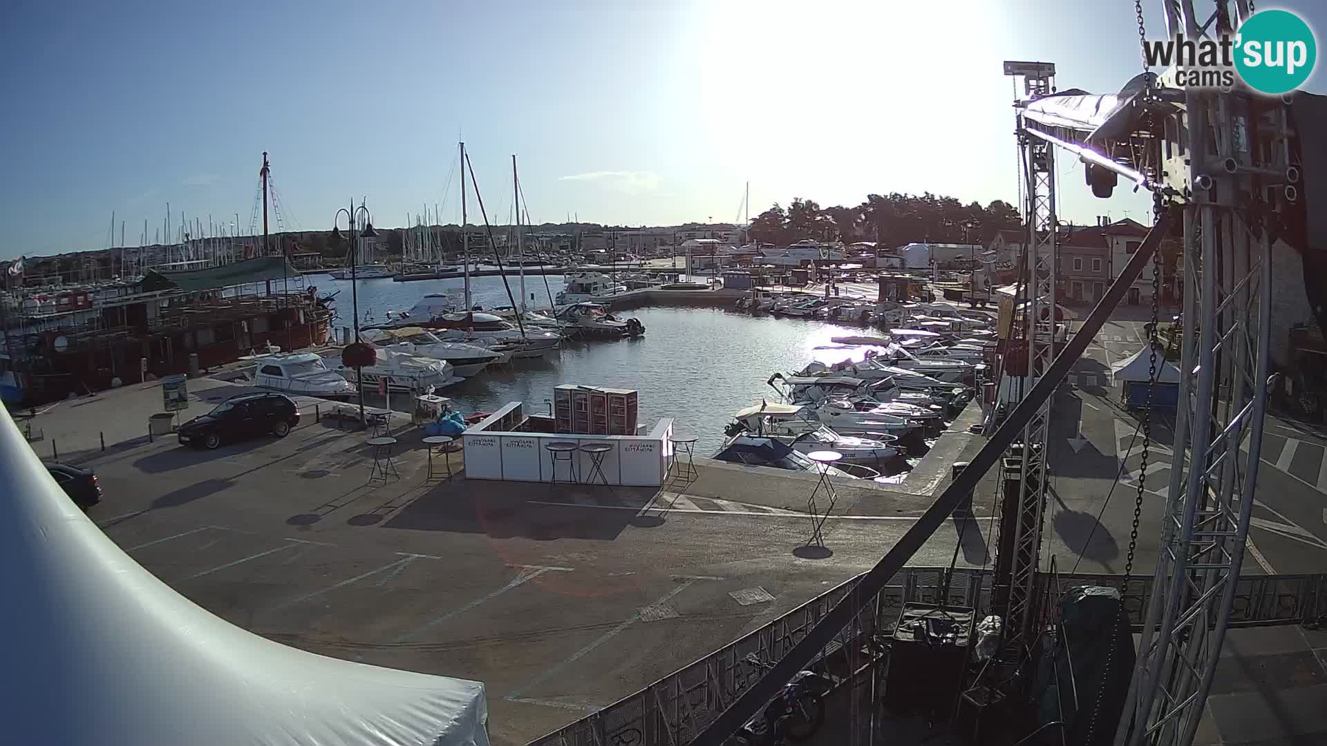 Novigrad | Porporela marina