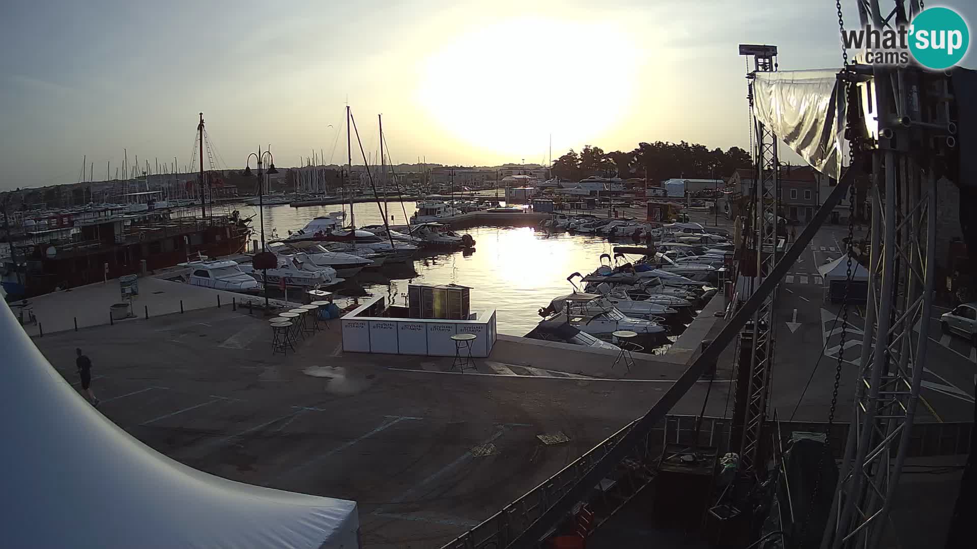 Novigrad | Porporela marina
