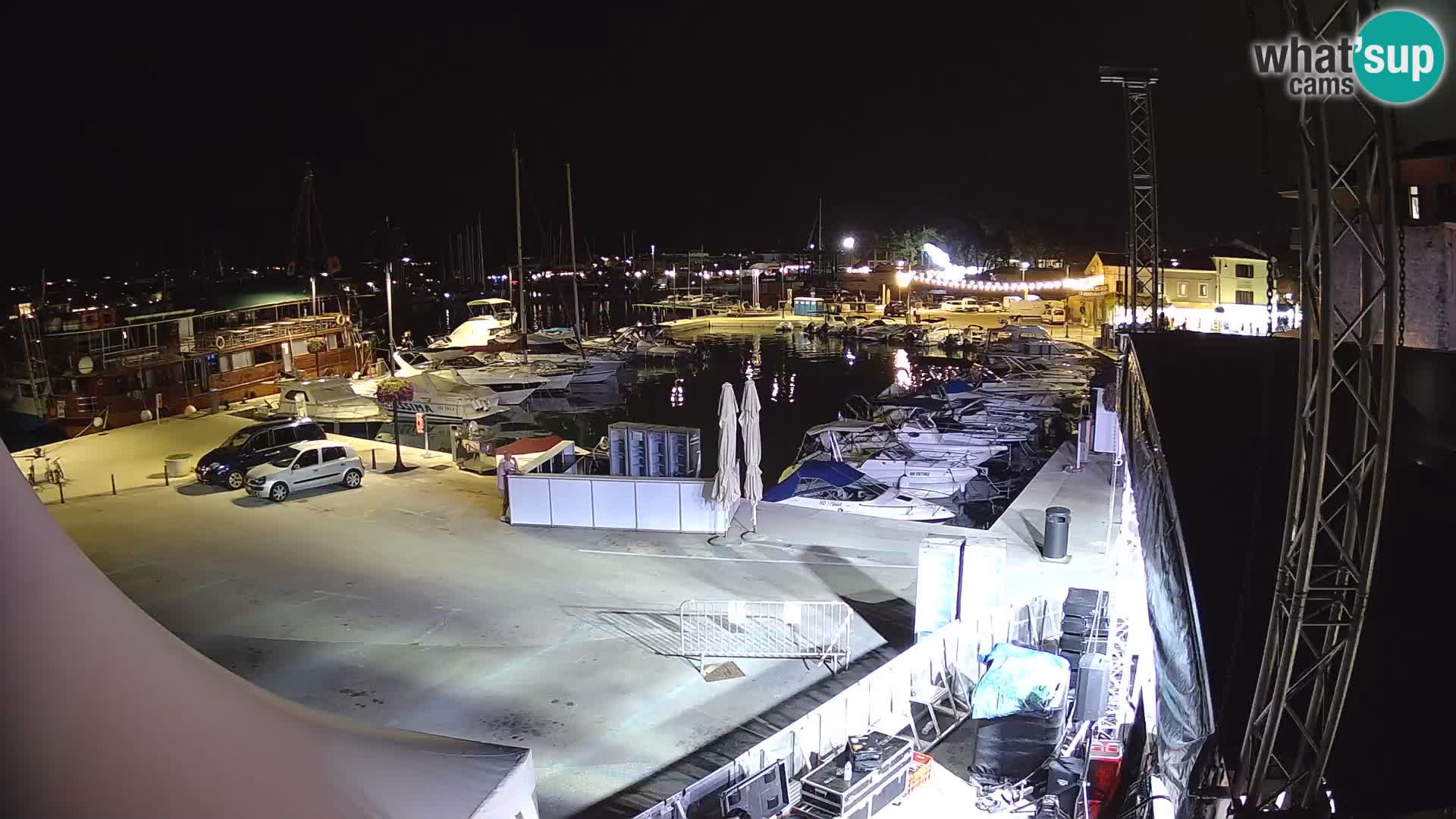 Novigrad | Porporela marina