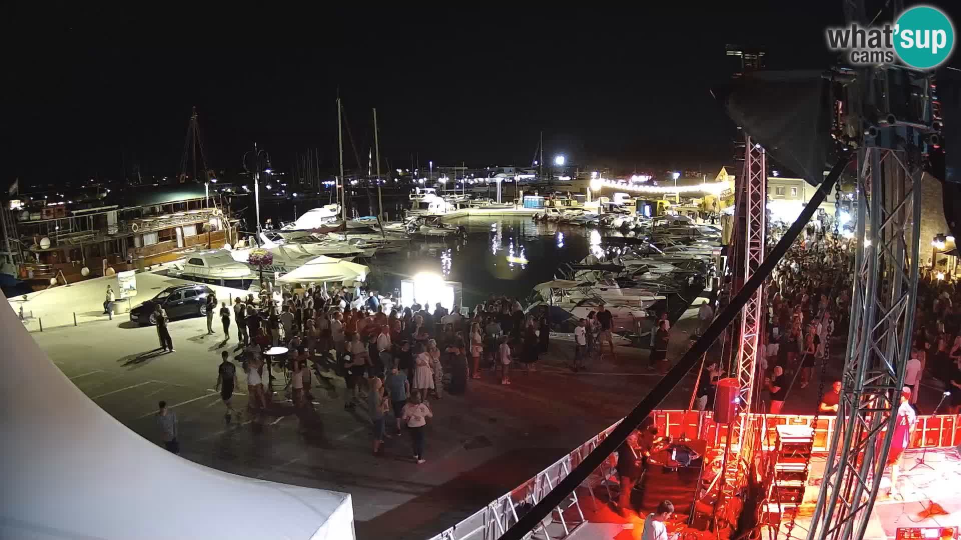 Novigrad | Porporela marina