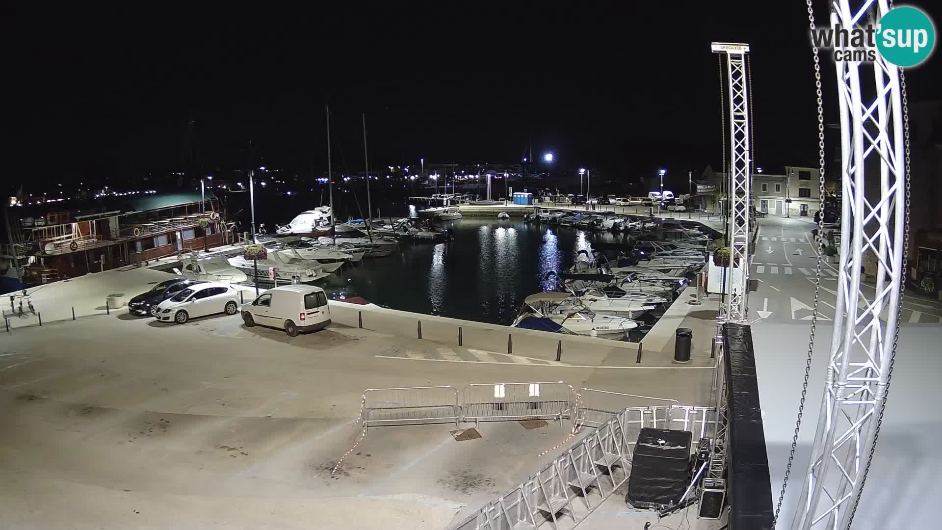 Novigrad | Porporela marina