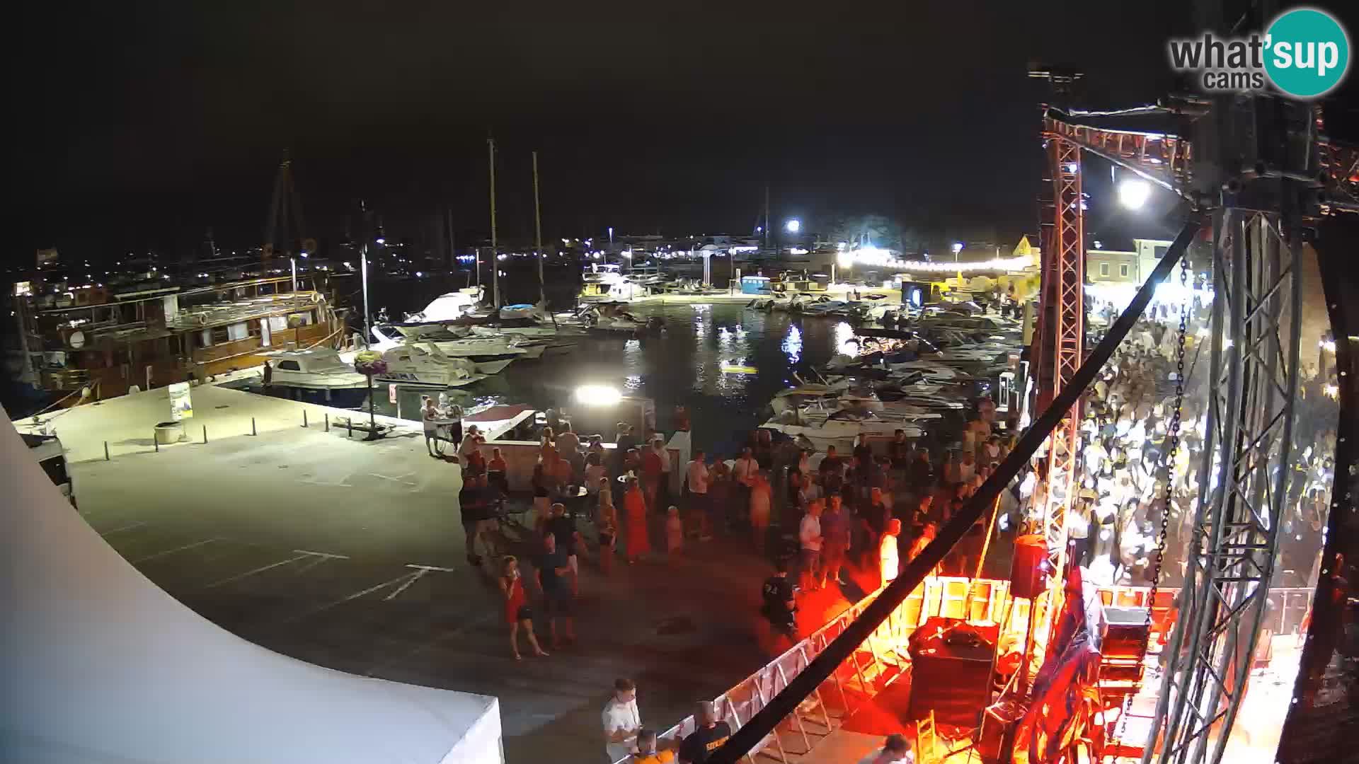 Novigrad | Porporela marina