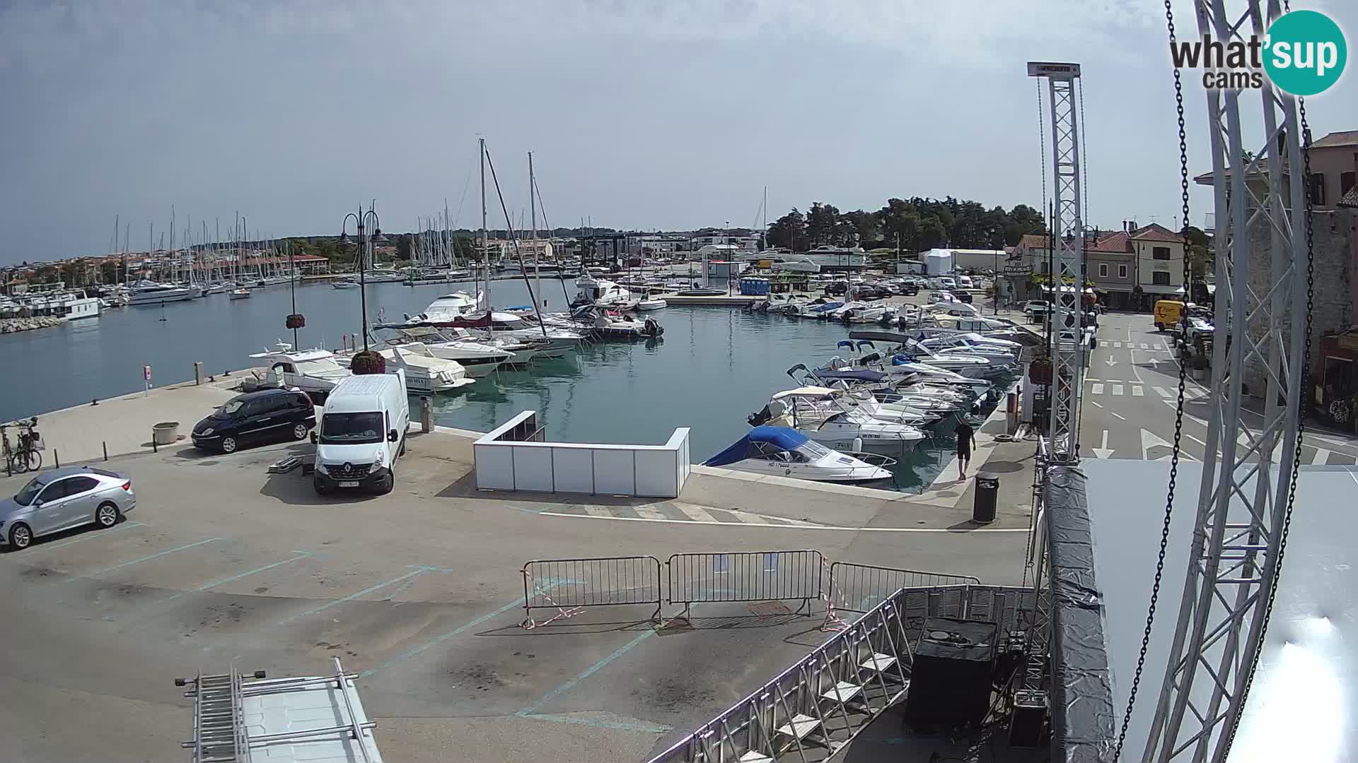 Novigrad | Porporela marina