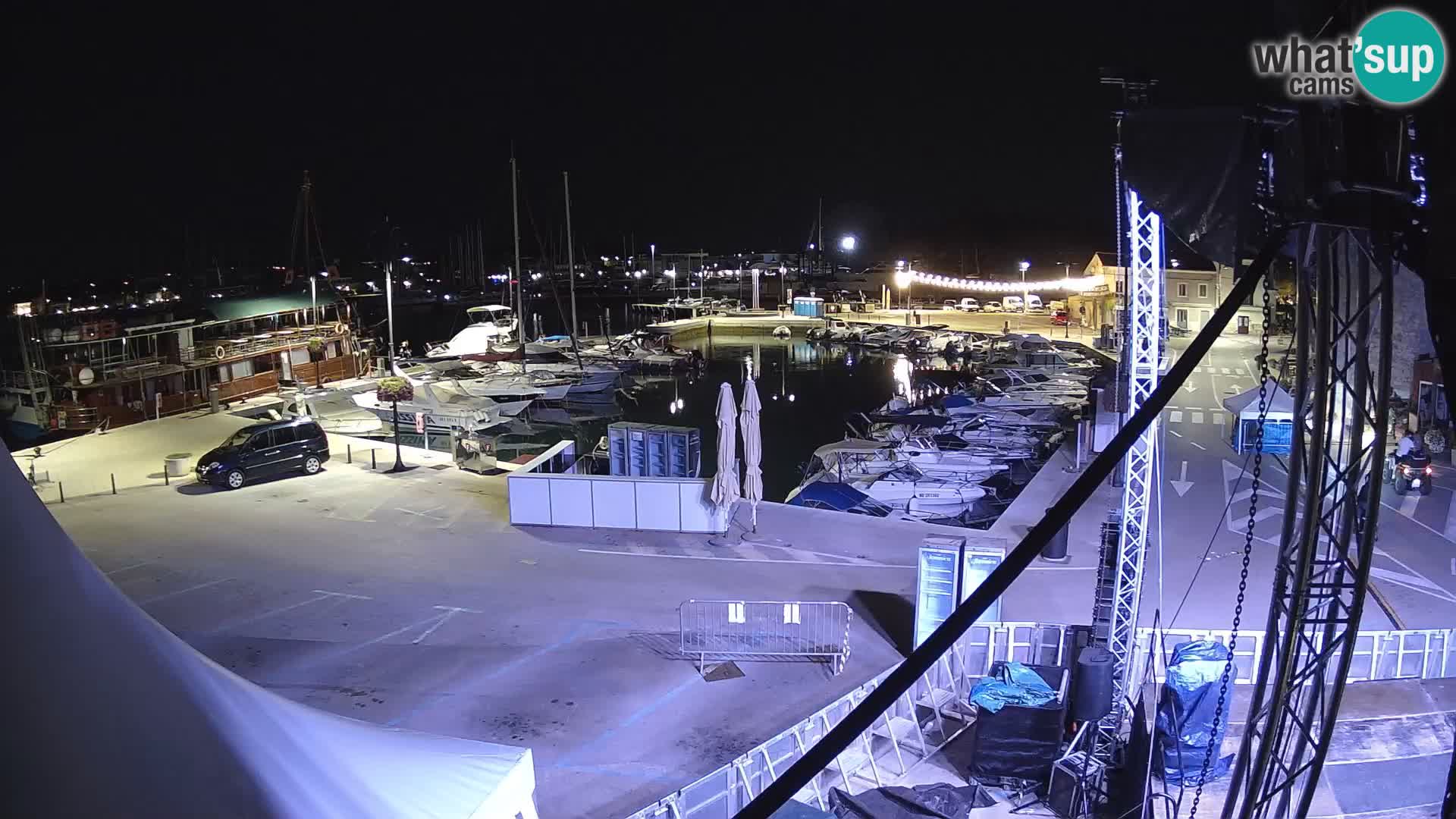 Novigrad | Porporela marina