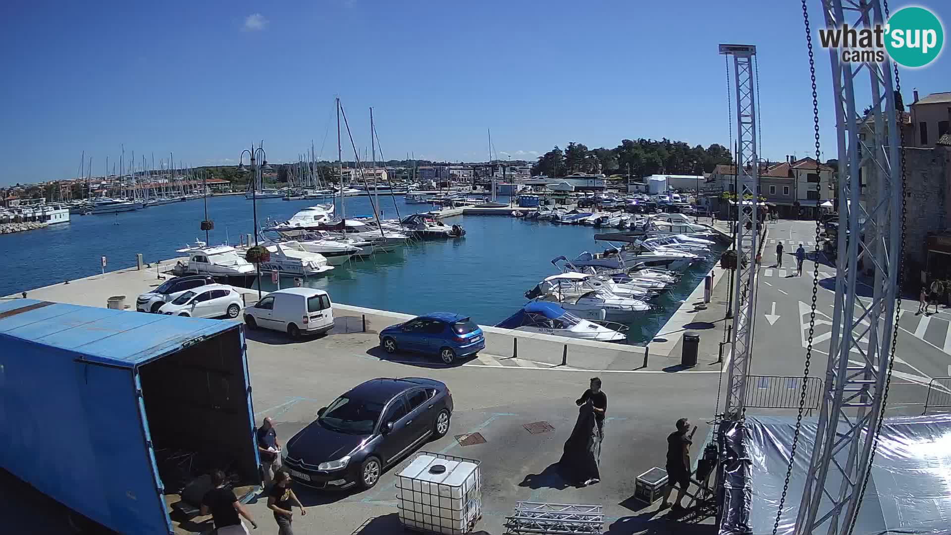 Novigrad | Porporela marina