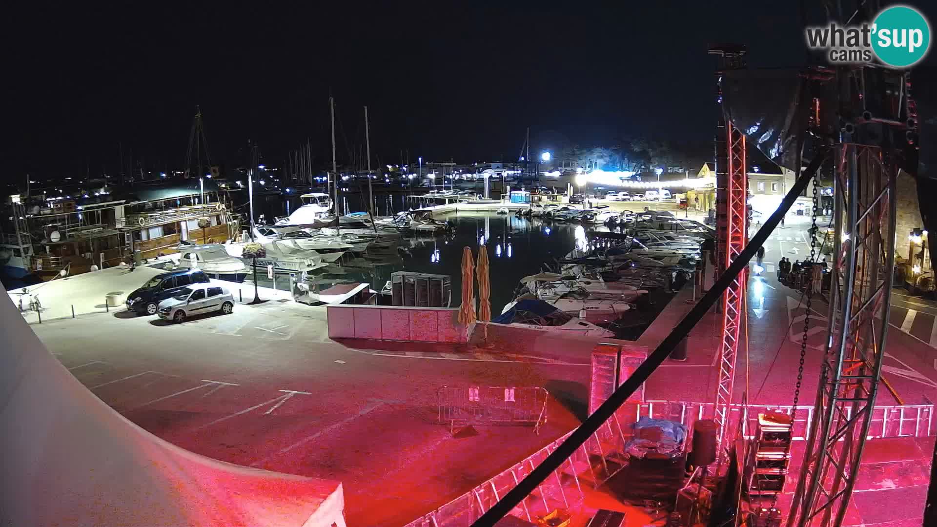 Novigrad | Porporela marina