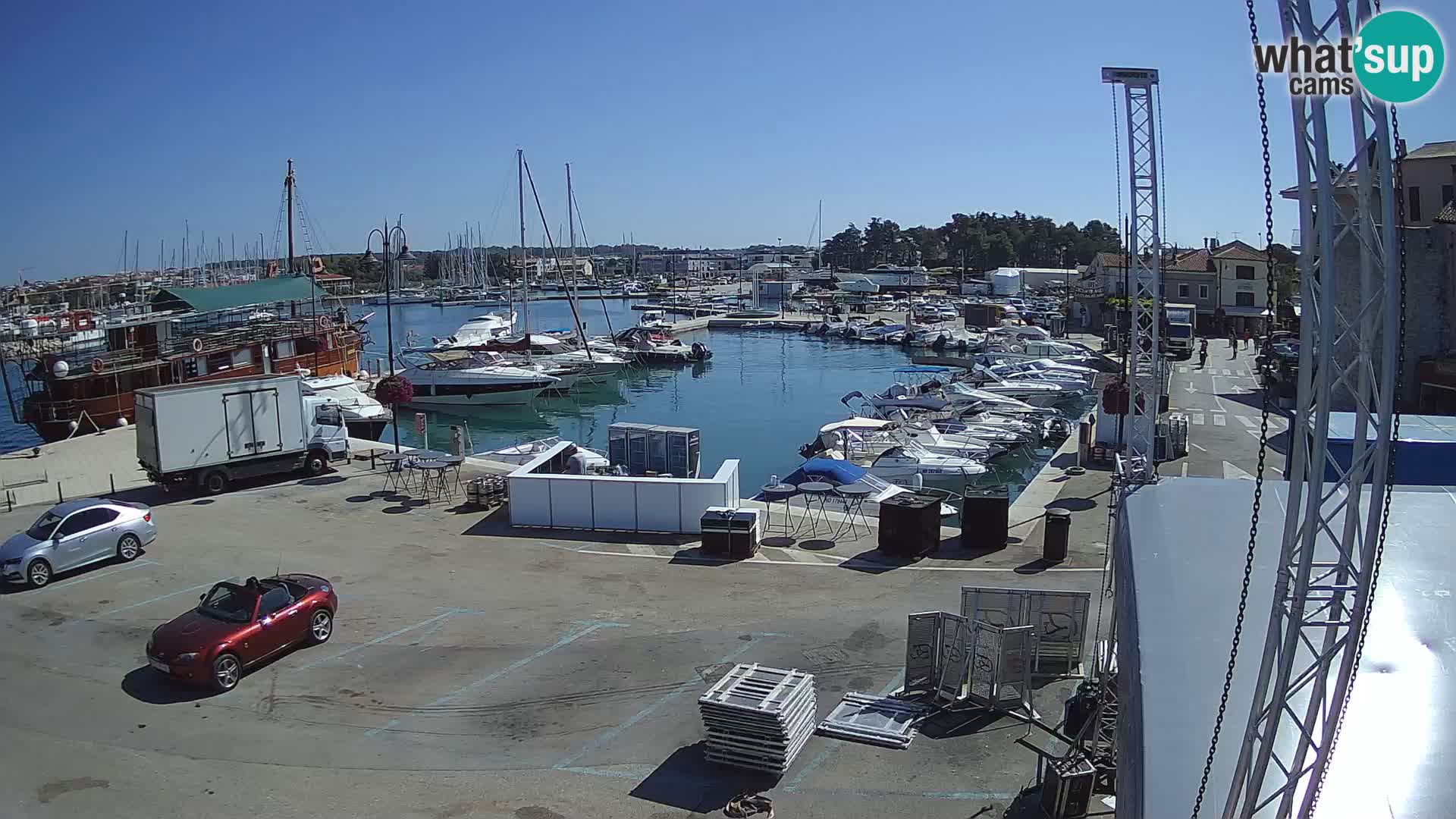 Novigrad | Porporela marina