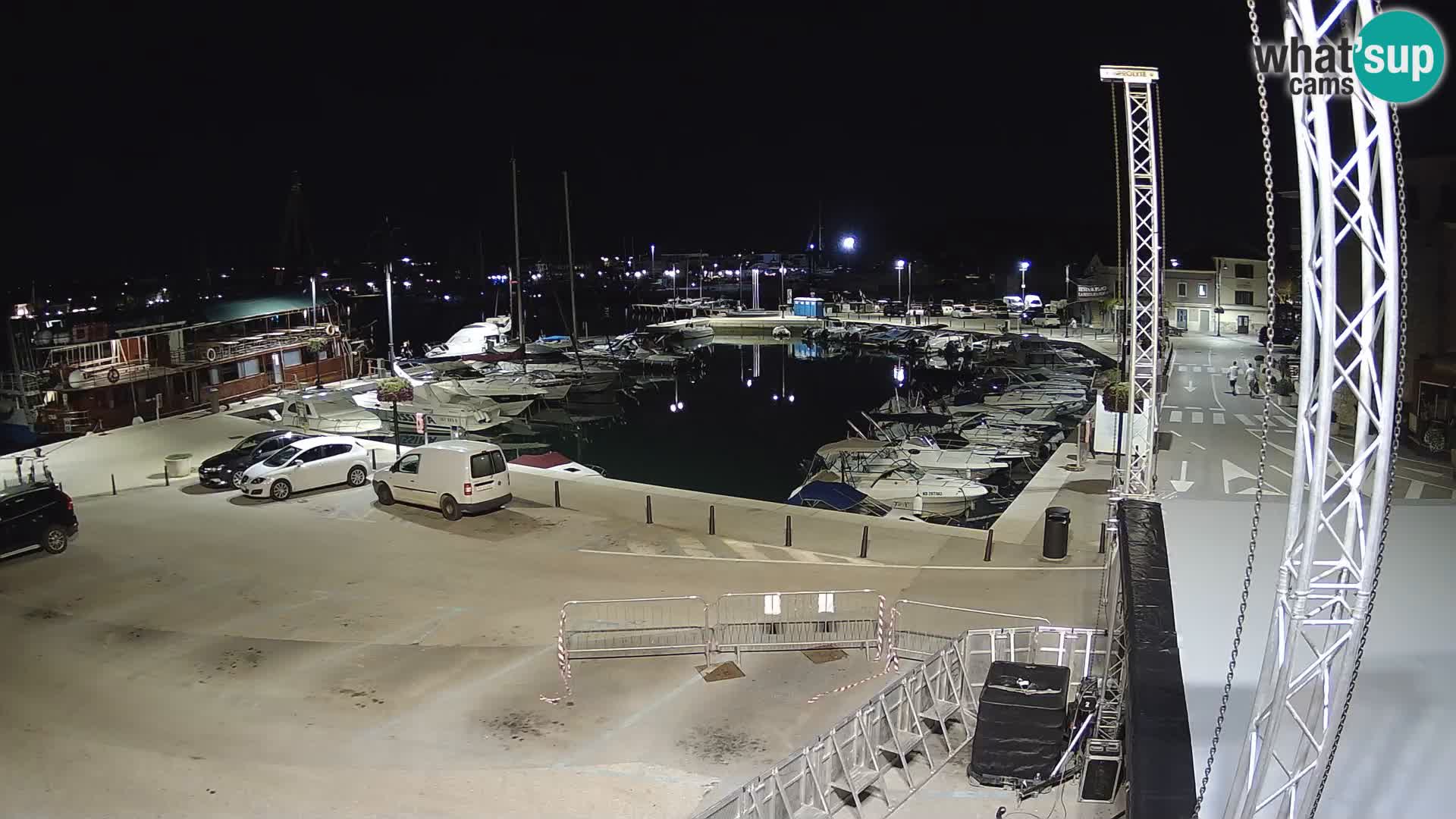 Novigrad | Porporela marina