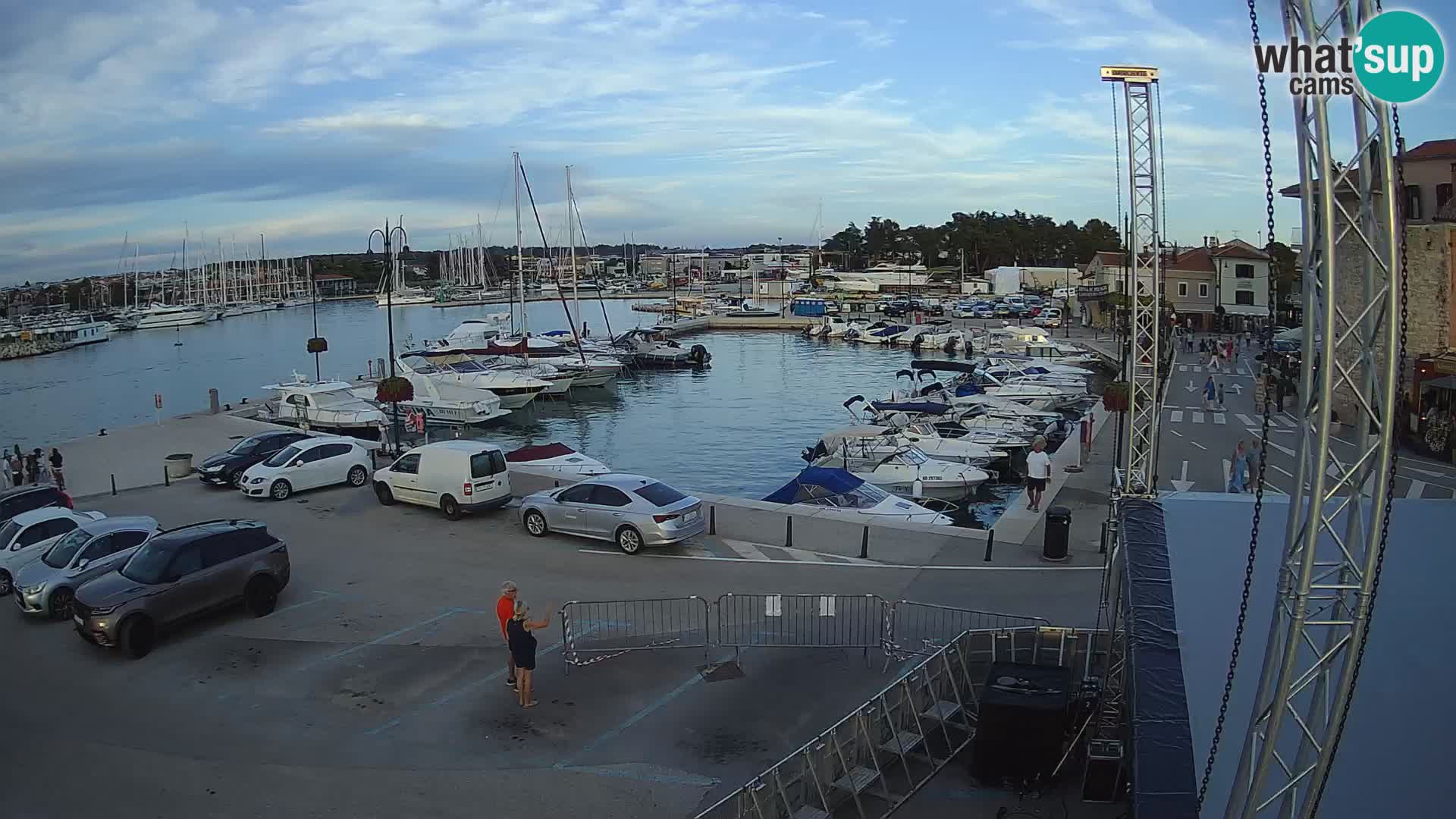 Novigrad | Porporela marina