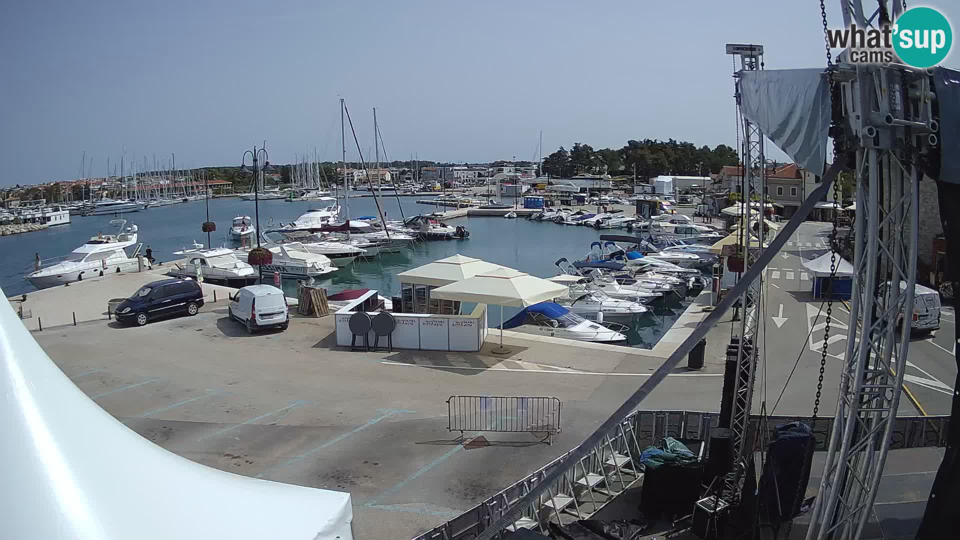 Novigrad | Porporela marina