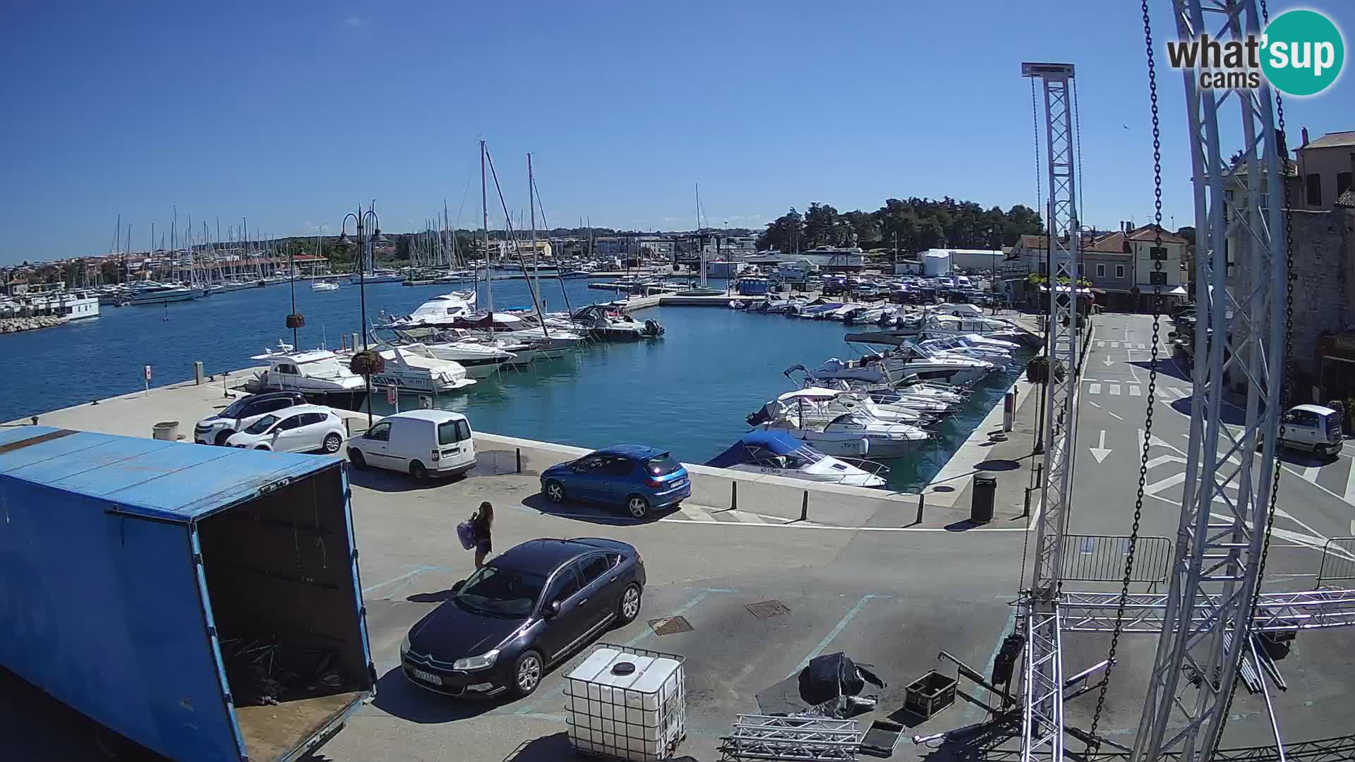 Novigrad | Porporela marina