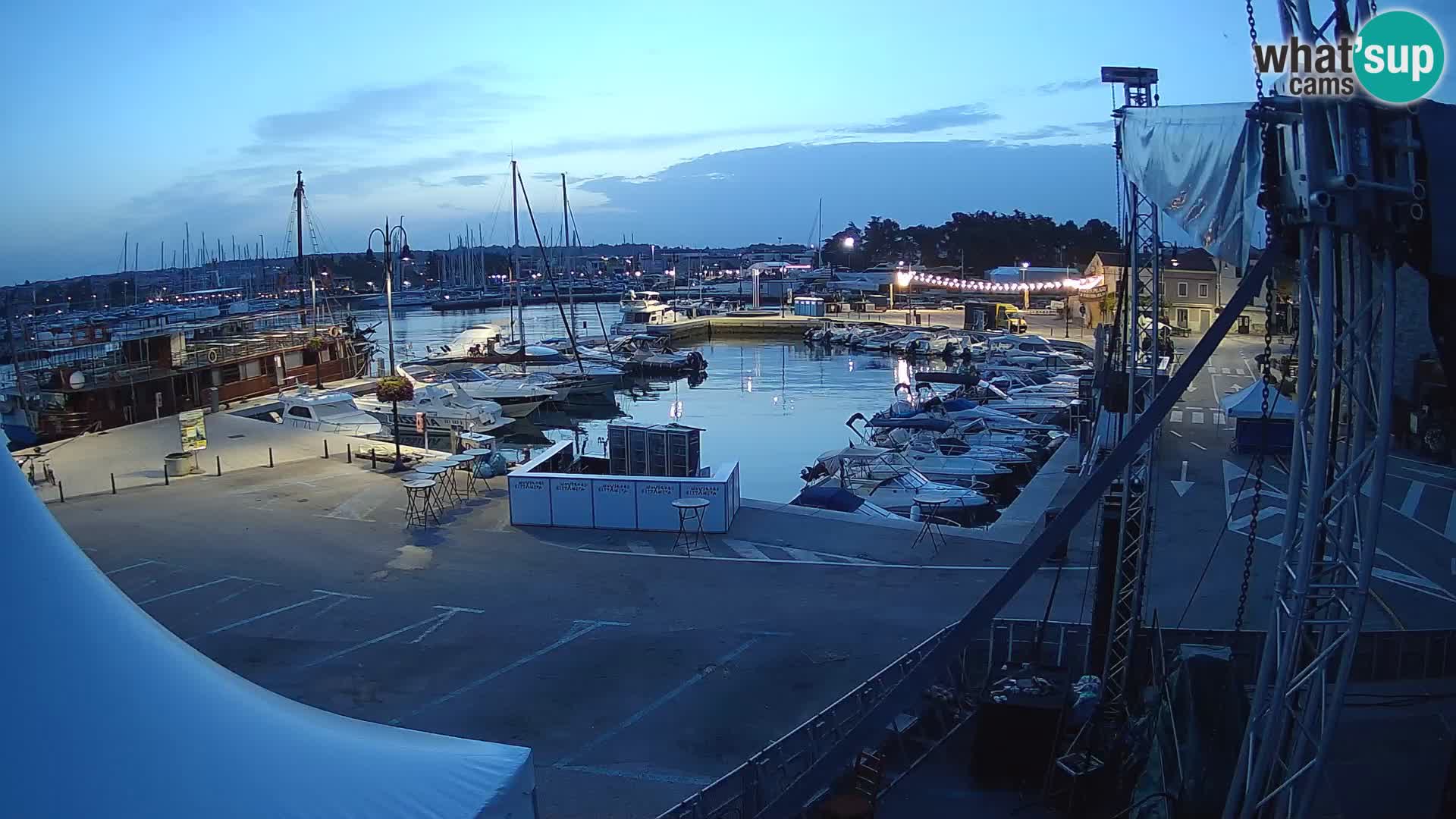 Novigrad | Porporela marina