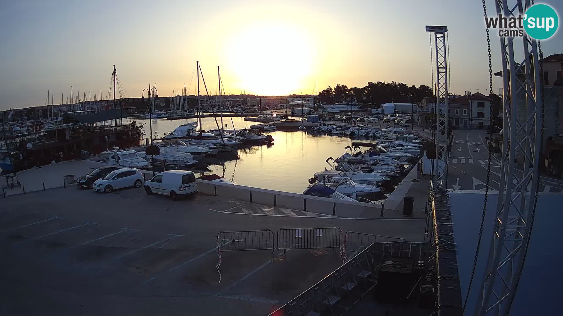 Novigrad | Porporela marina