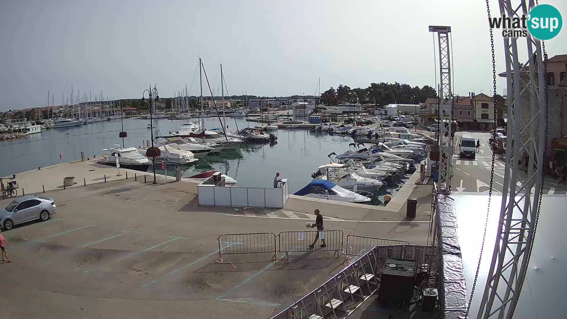 Novigrad | Porporela marina
