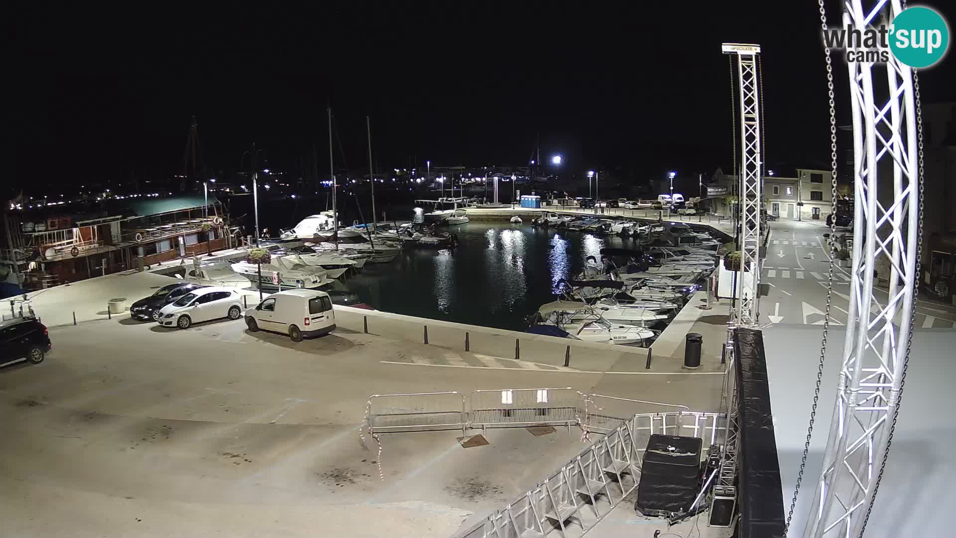 Novigrad | Porporela marina