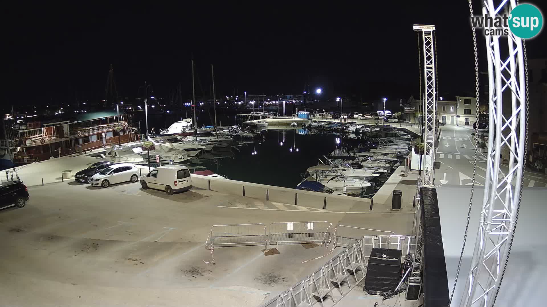 Novigrad | Porporela marina