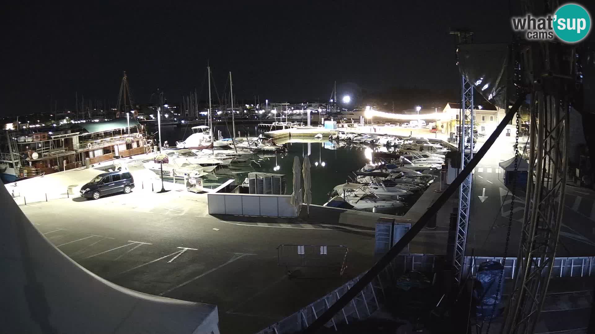 Novigrad | Porporela marina