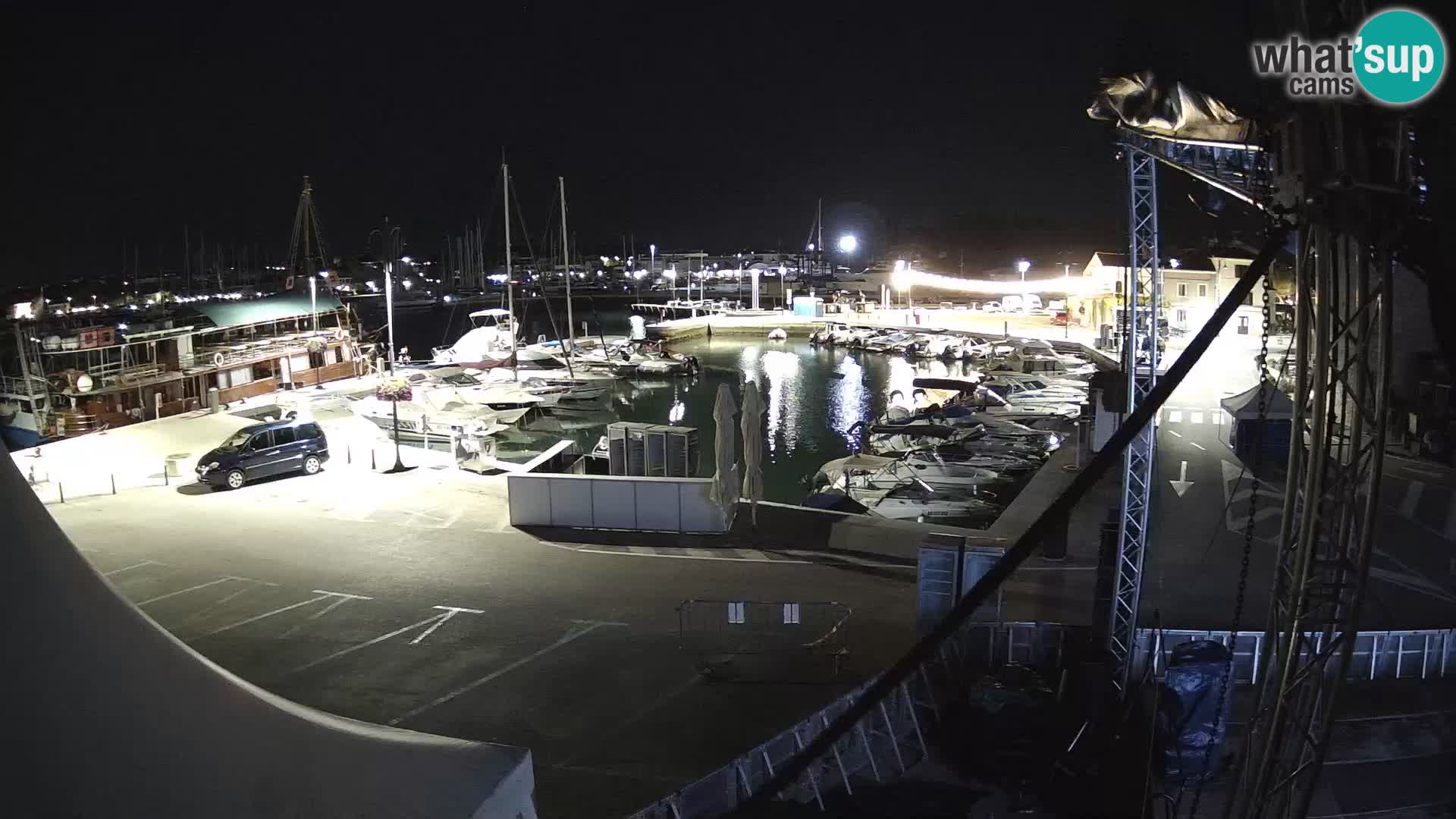 Novigrad | Porporela marina