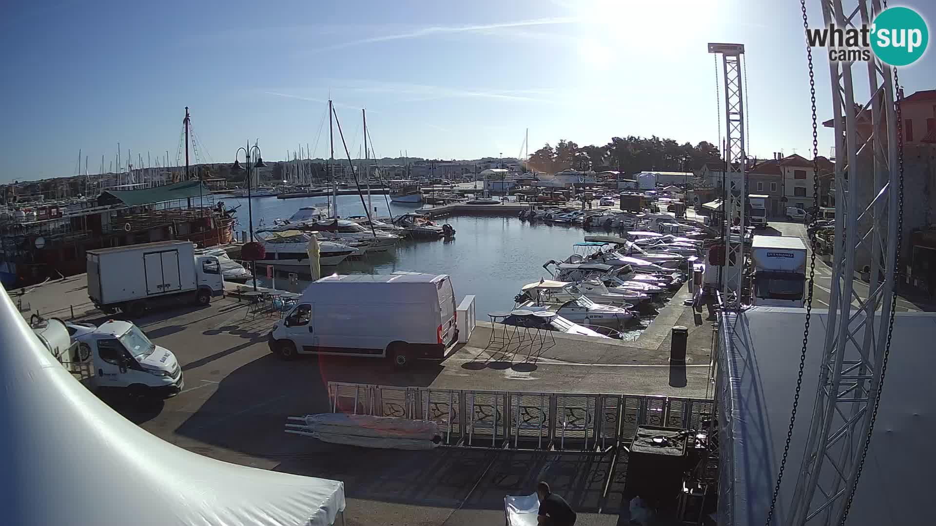 Novigrad | Porporela marina