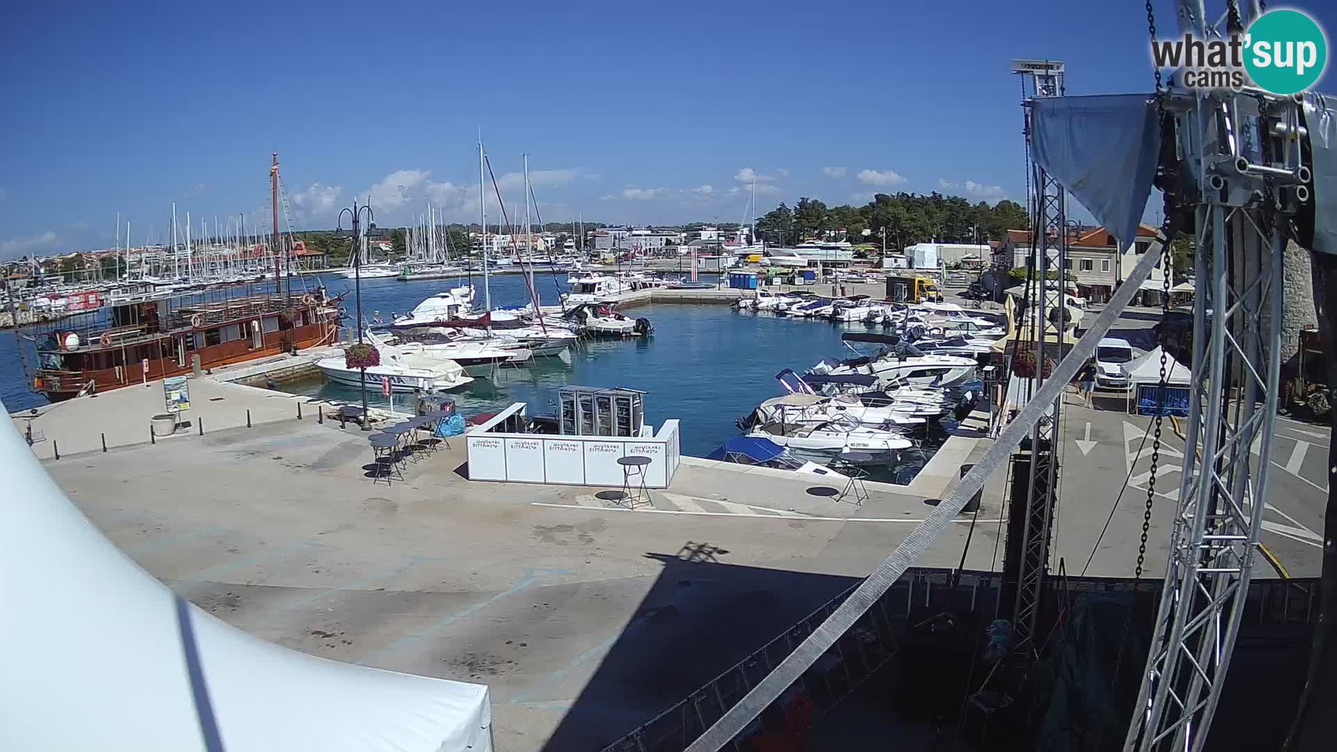 Novigrad | Porporela marina