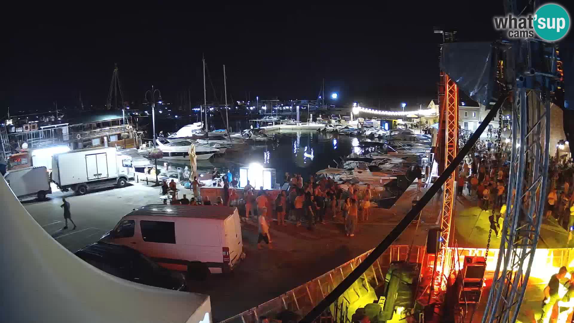 Novigrad | Porporela marina