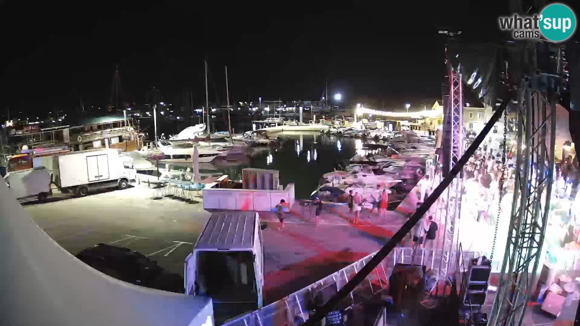 Novigrad | Porporela marina