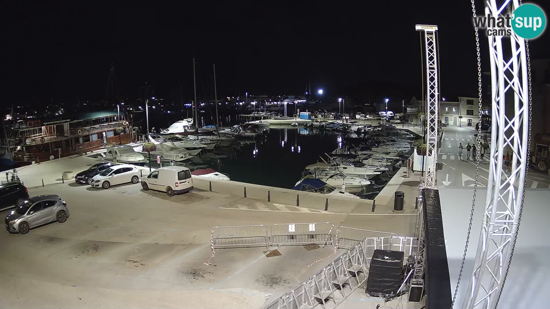 Novigrad | Porporela marina