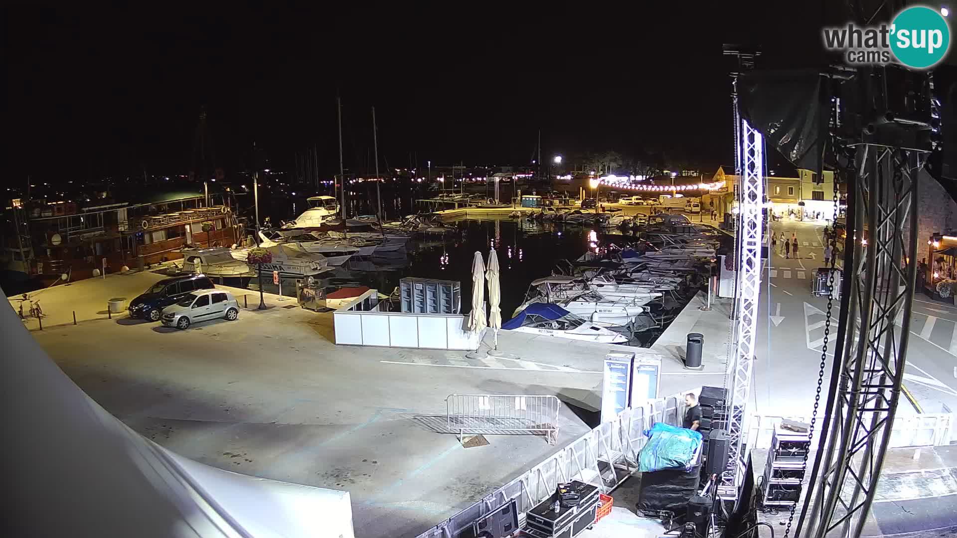 Novigrad | Porporela marina