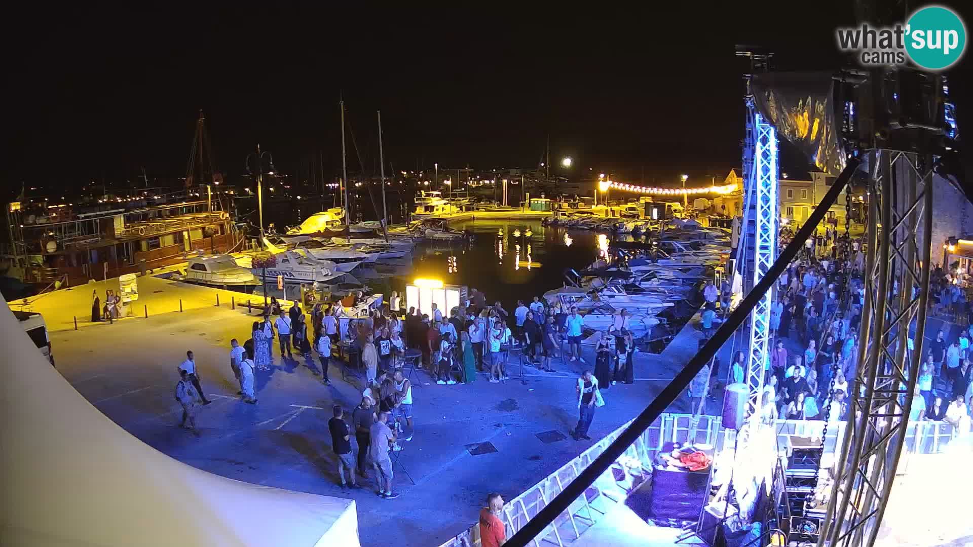 Novigrad | Porporela marina
