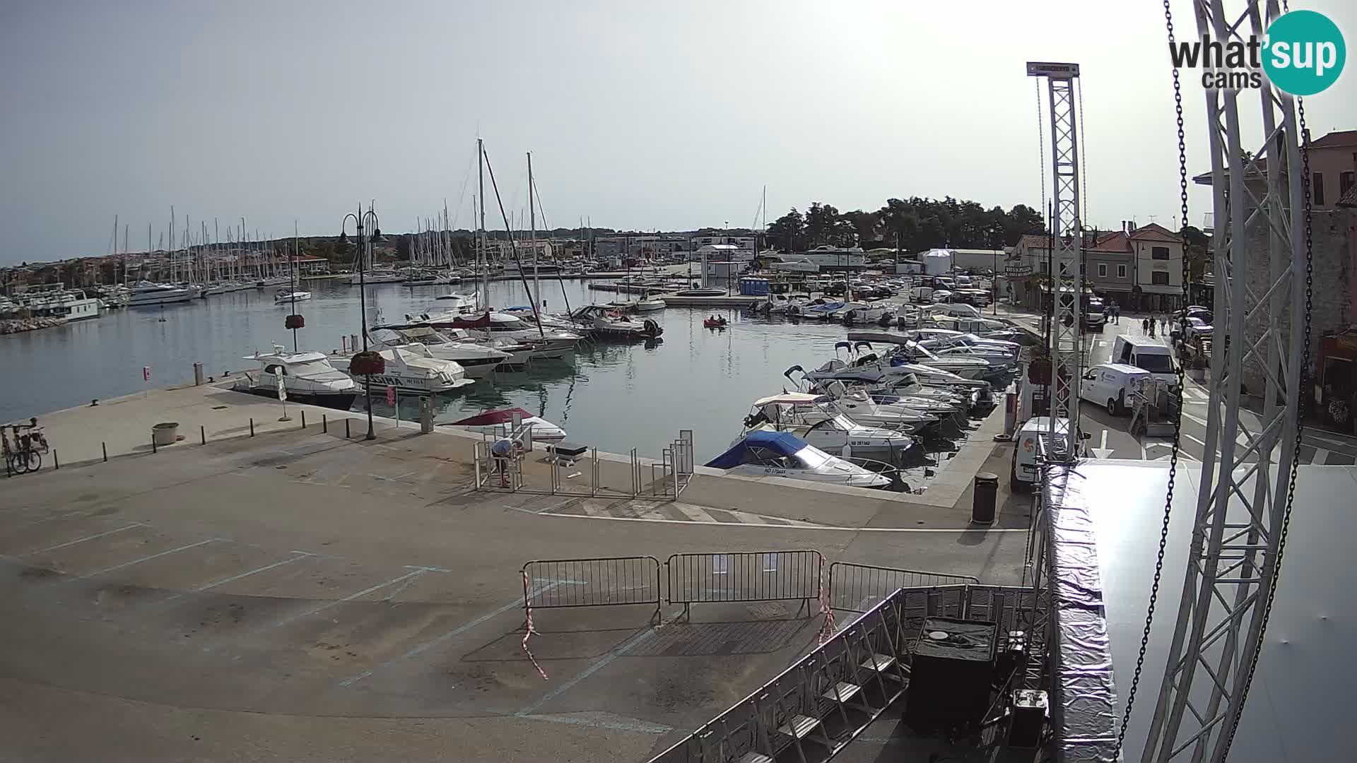 Novigrad | Porporela marina