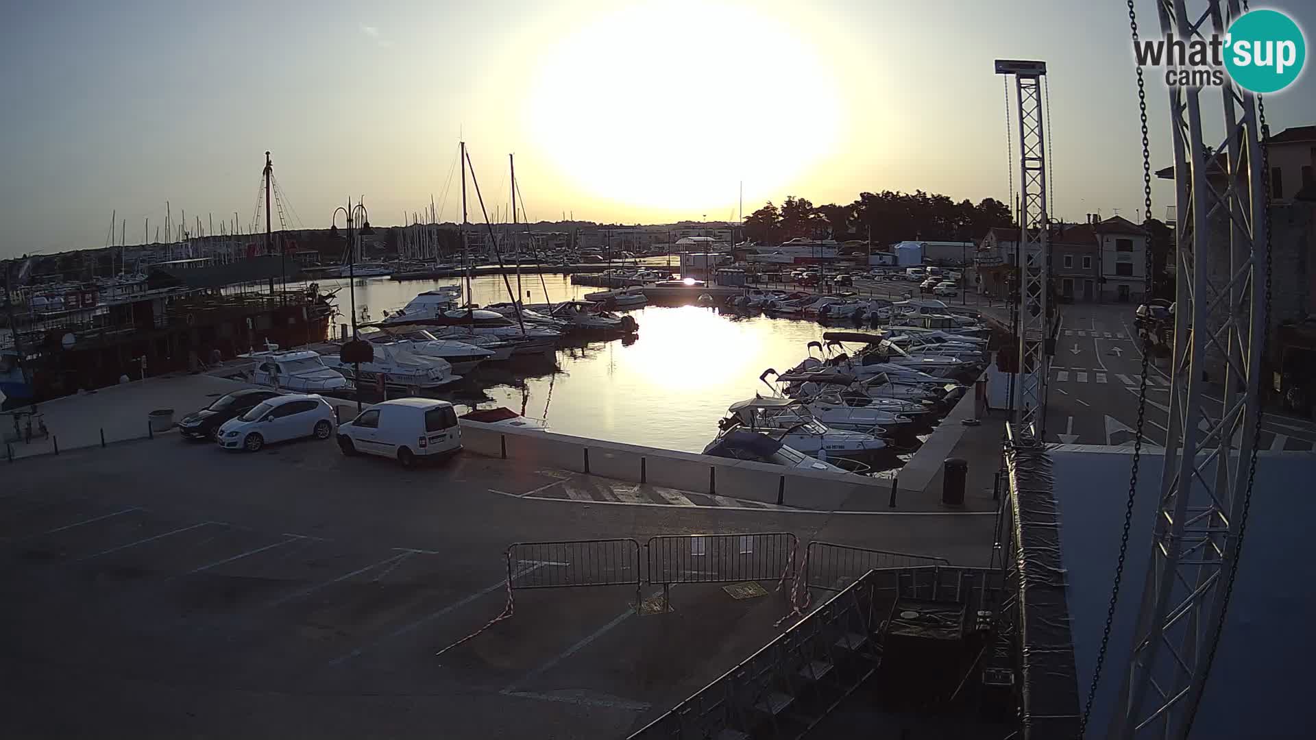 Novigrad | Porporela marina
