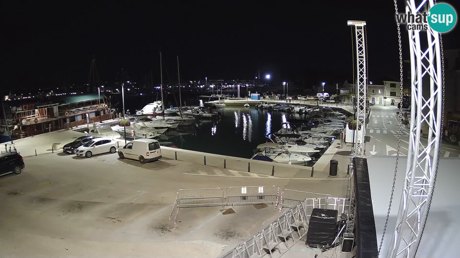 Novigrad | Porporela marina