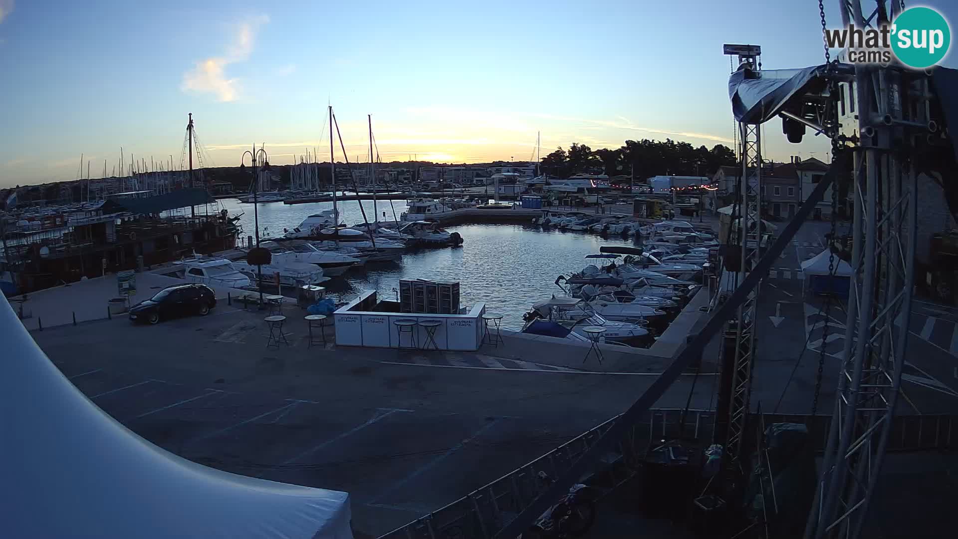 Novigrad | Porporela marina