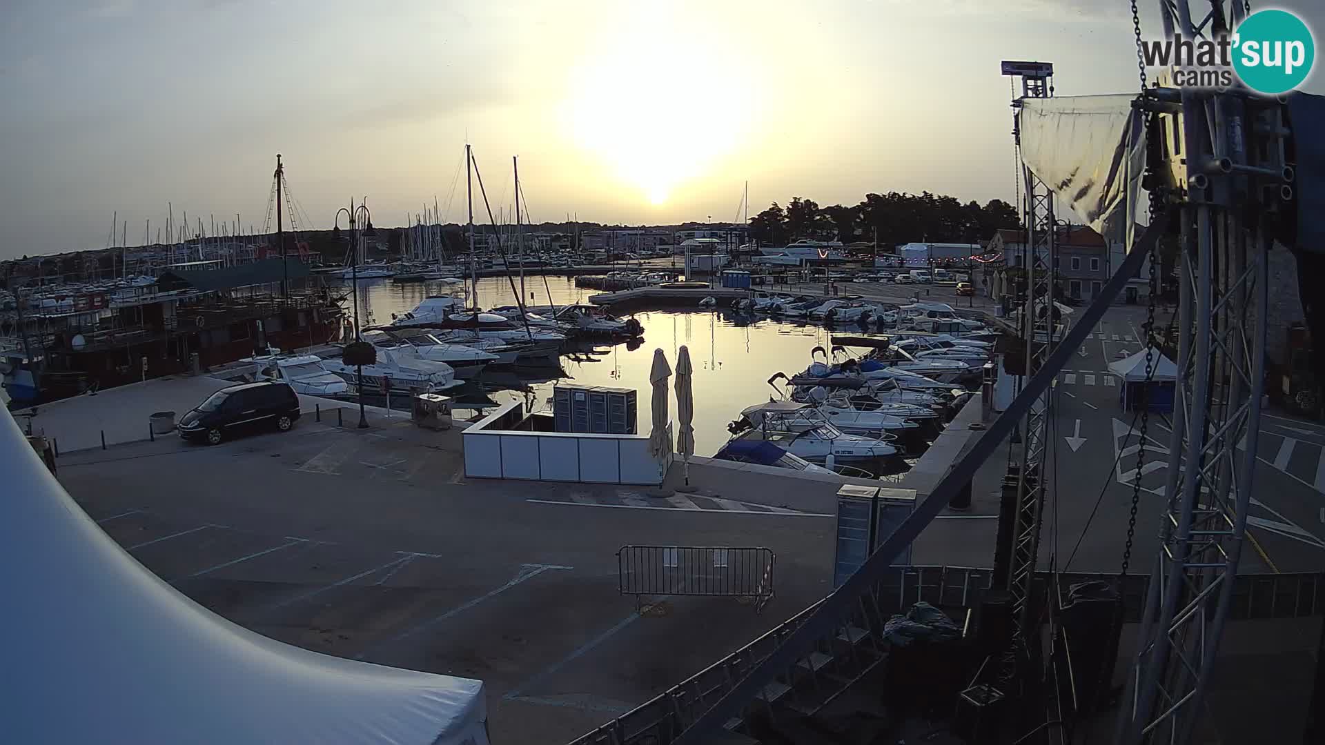 Novigrad | Porporela marina