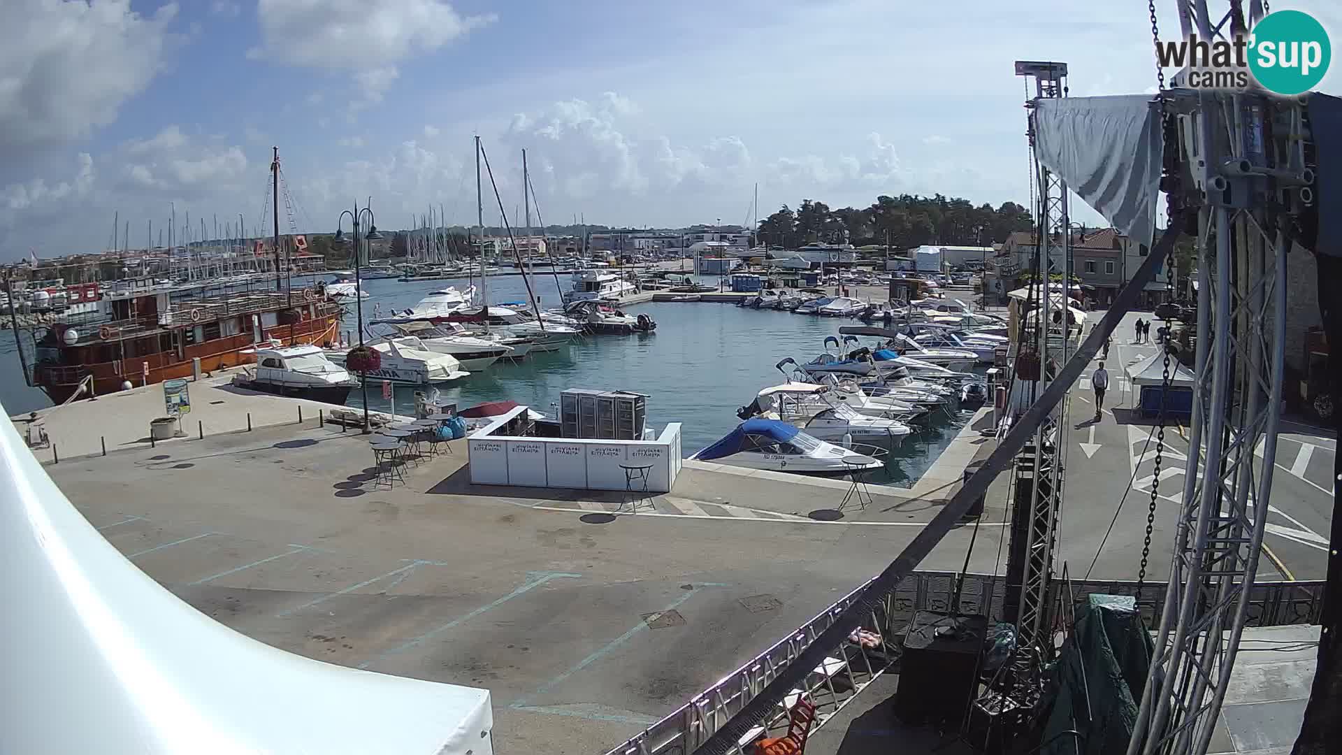 Novigrad | Porporela marina