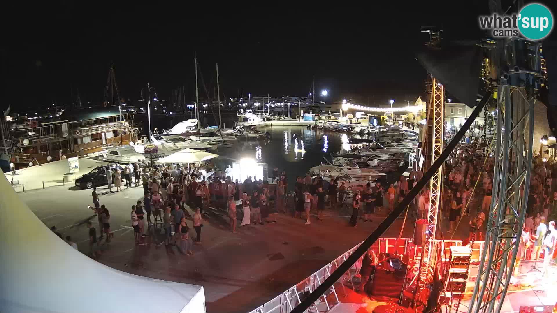Novigrad | Porporela marina